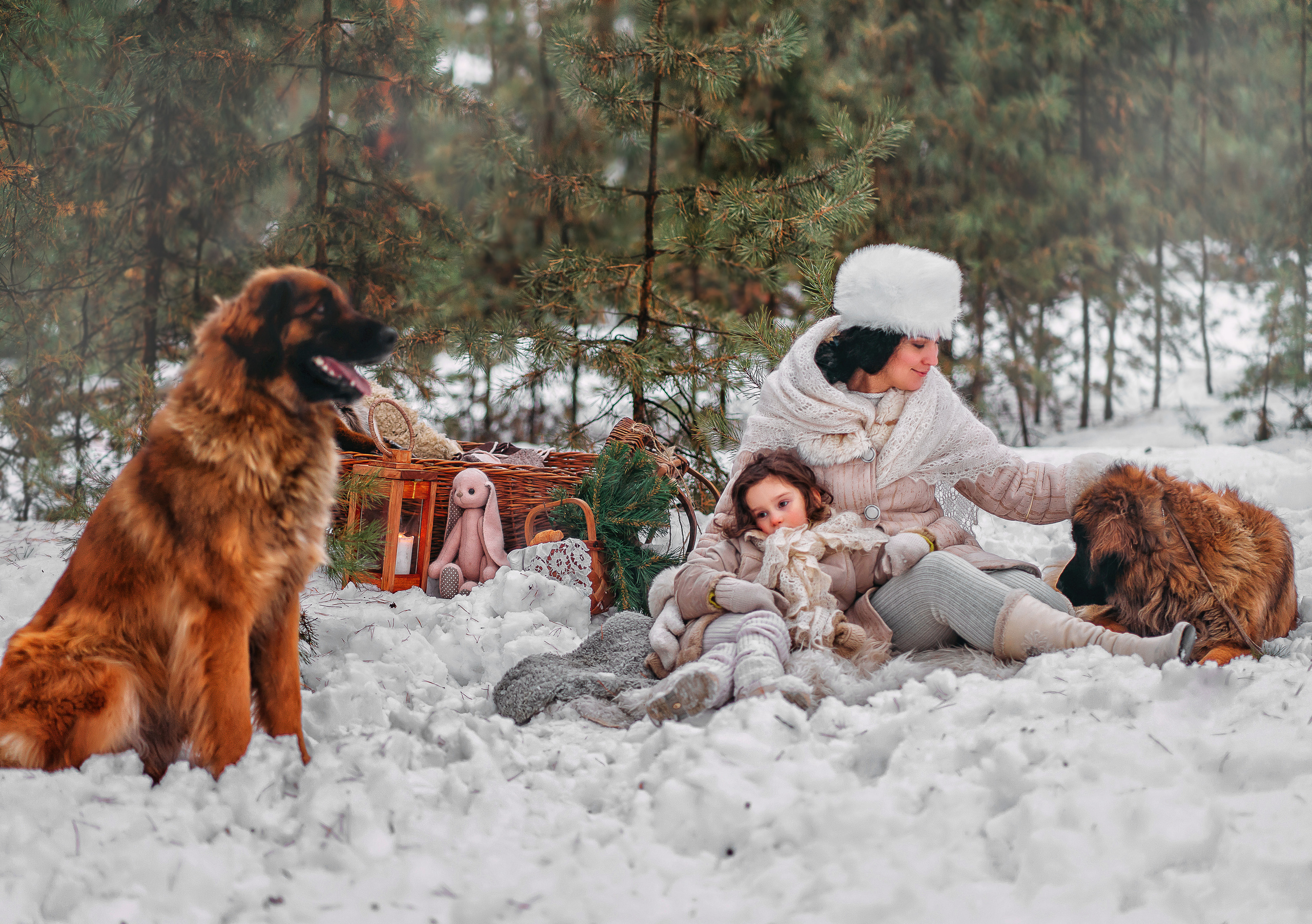 Лесная прогулка. Наталья Градова. Семейный и детский фотограф в Нижнем Новгороде