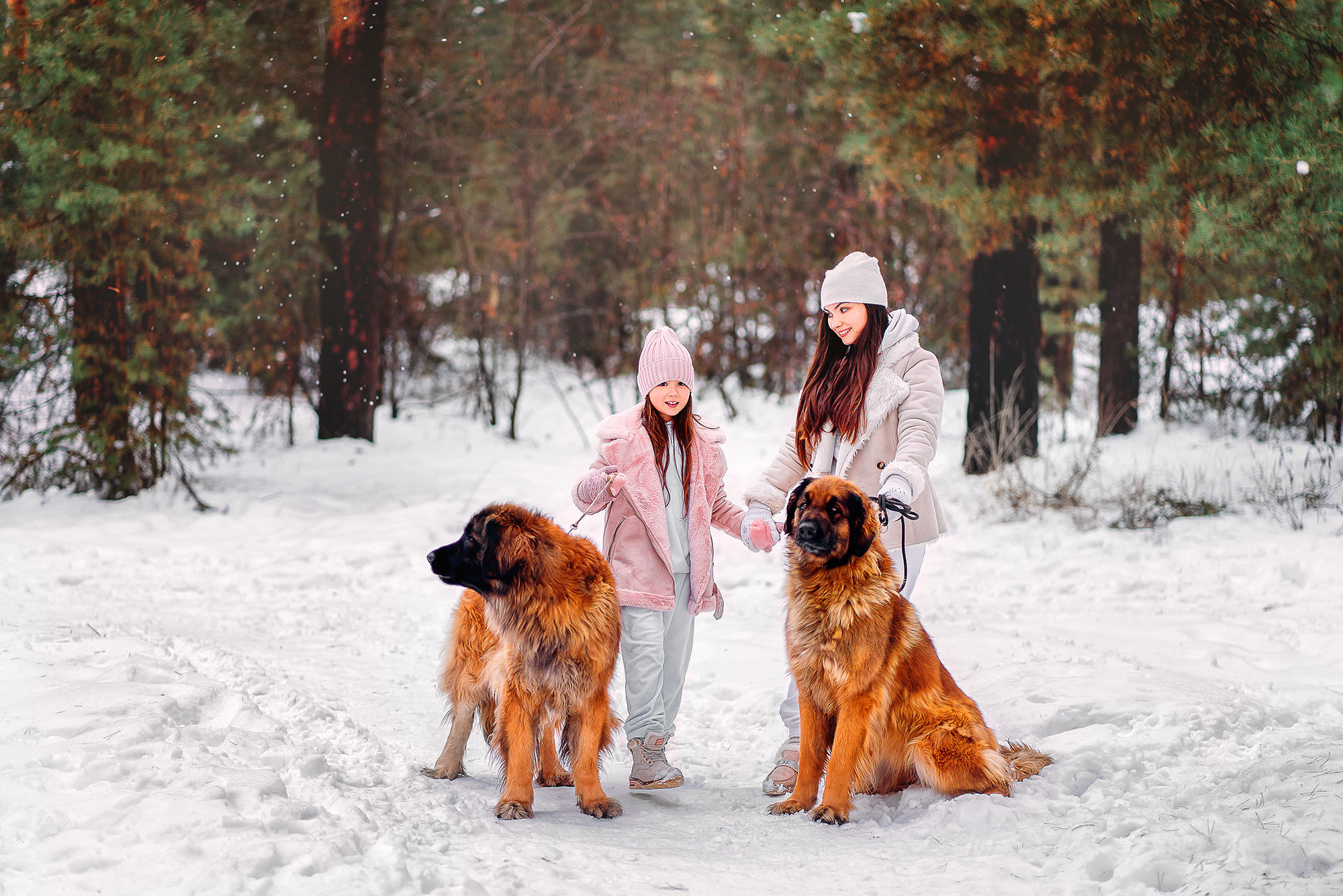 Фотопроект с собаками. Наталья Градова. Семейный и детский фотограф в Нижнем Новгороде