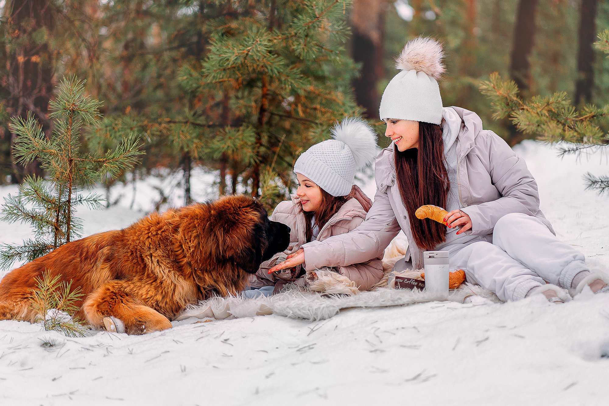 Фотопроект с собаками. Наталья Градова. Семейный и детский фотограф в Нижнем Новгороде