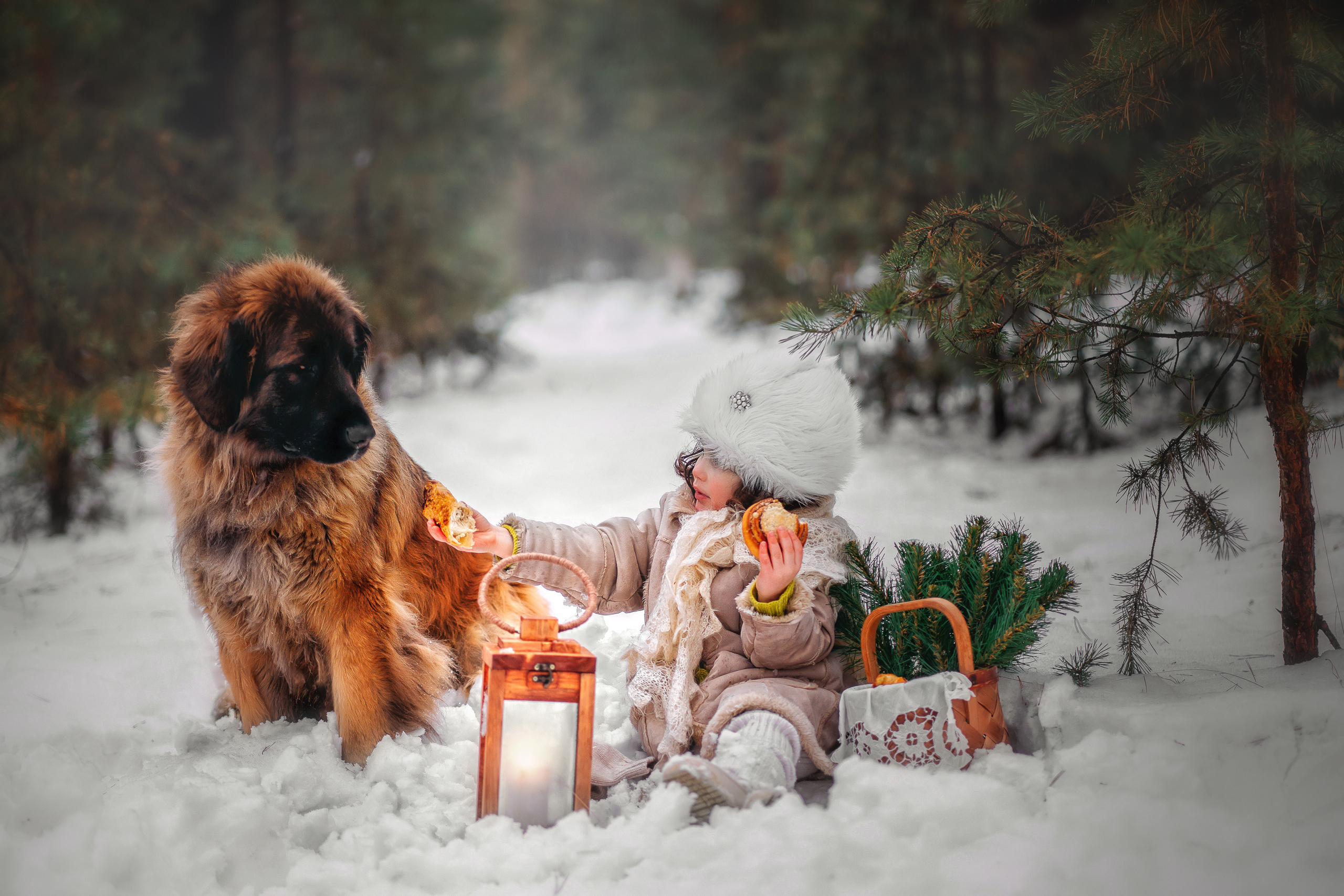 Лесная прогулка. Наталья Градова. Семейный и детский фотограф в Нижнем Новгороде