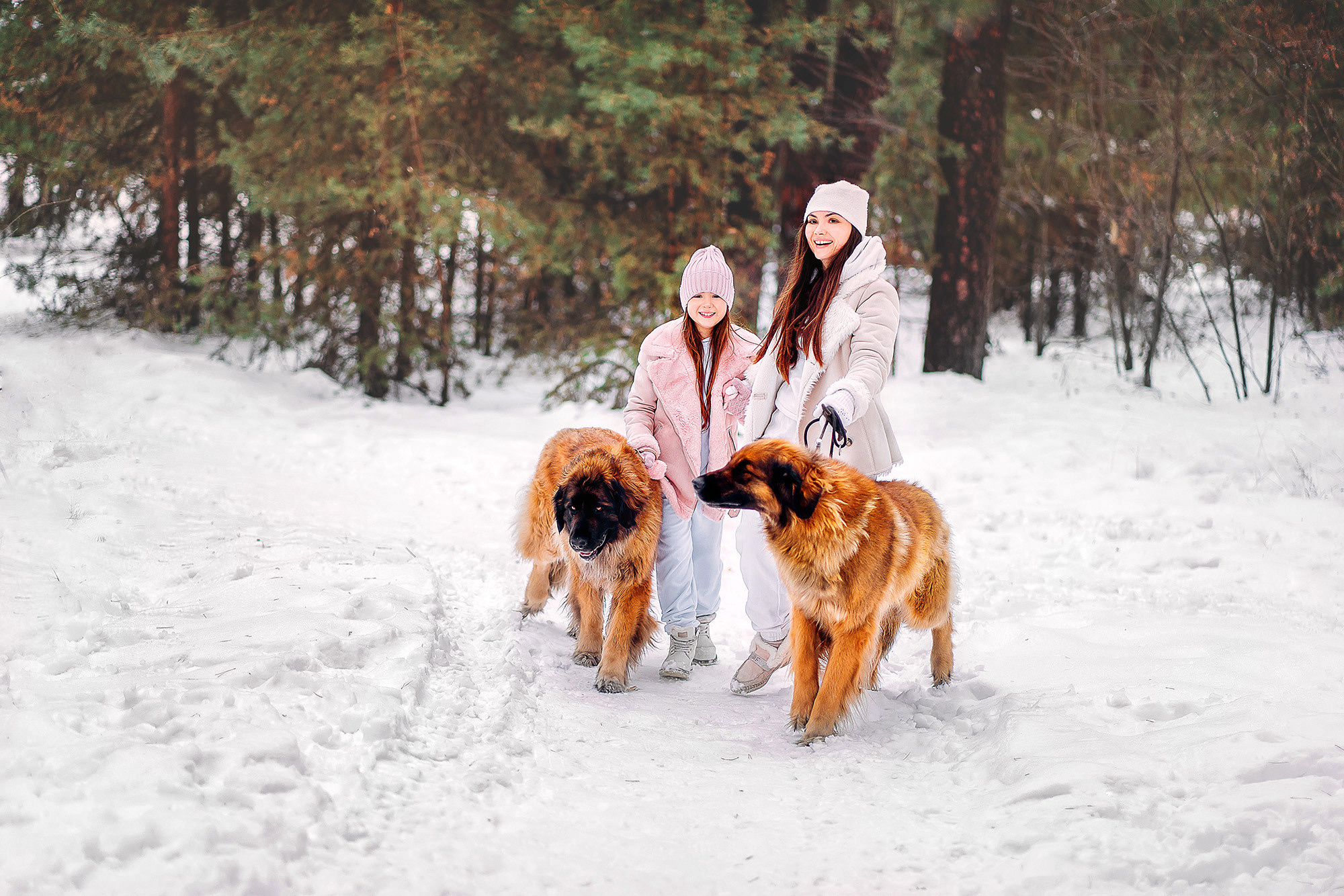 Фотопроект с собаками. Наталья Градова. Семейный и детский фотограф в Нижнем Новгороде