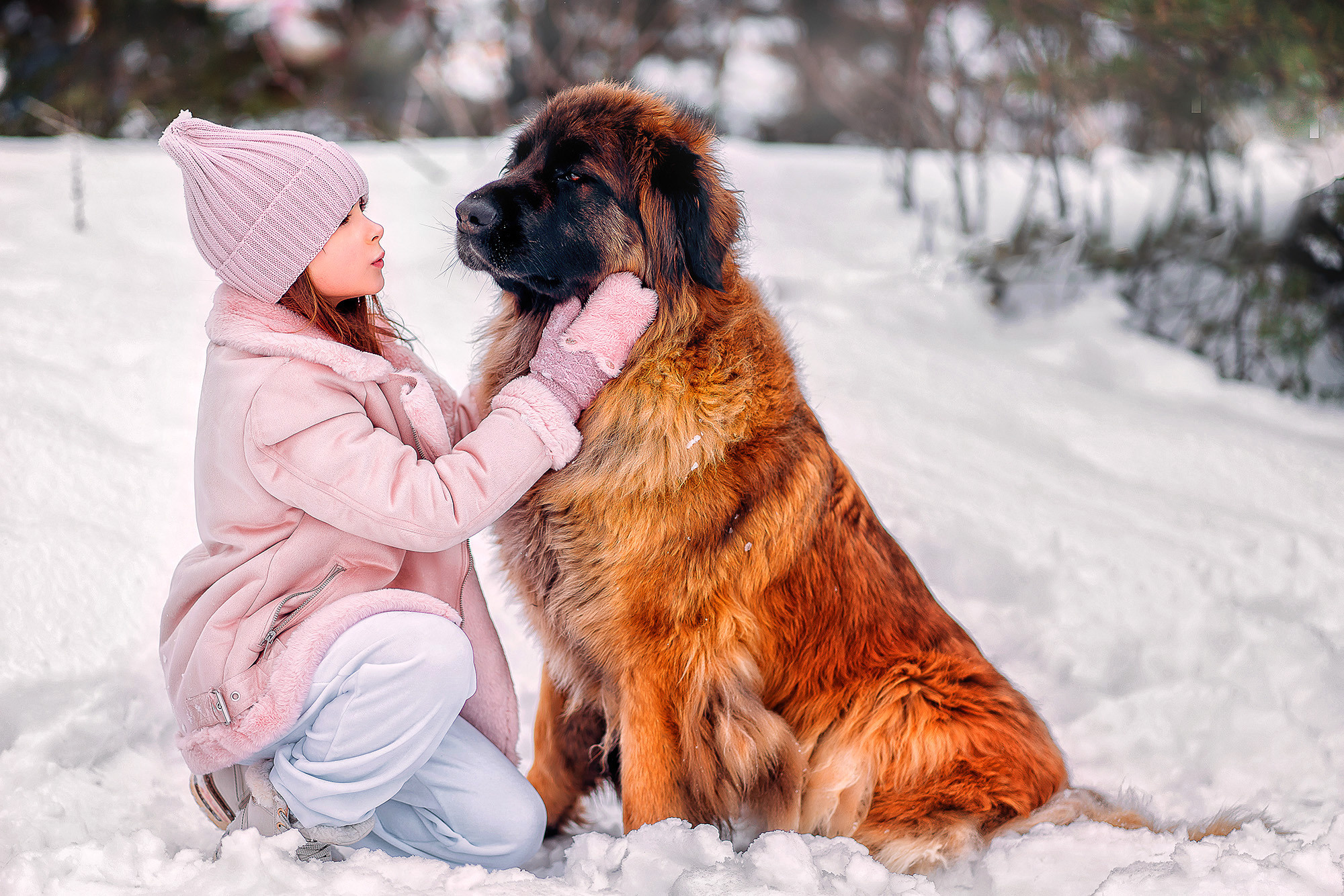 Фотопроект с собаками. Наталья Градова. Семейный и детский фотограф в Нижнем Новгороде