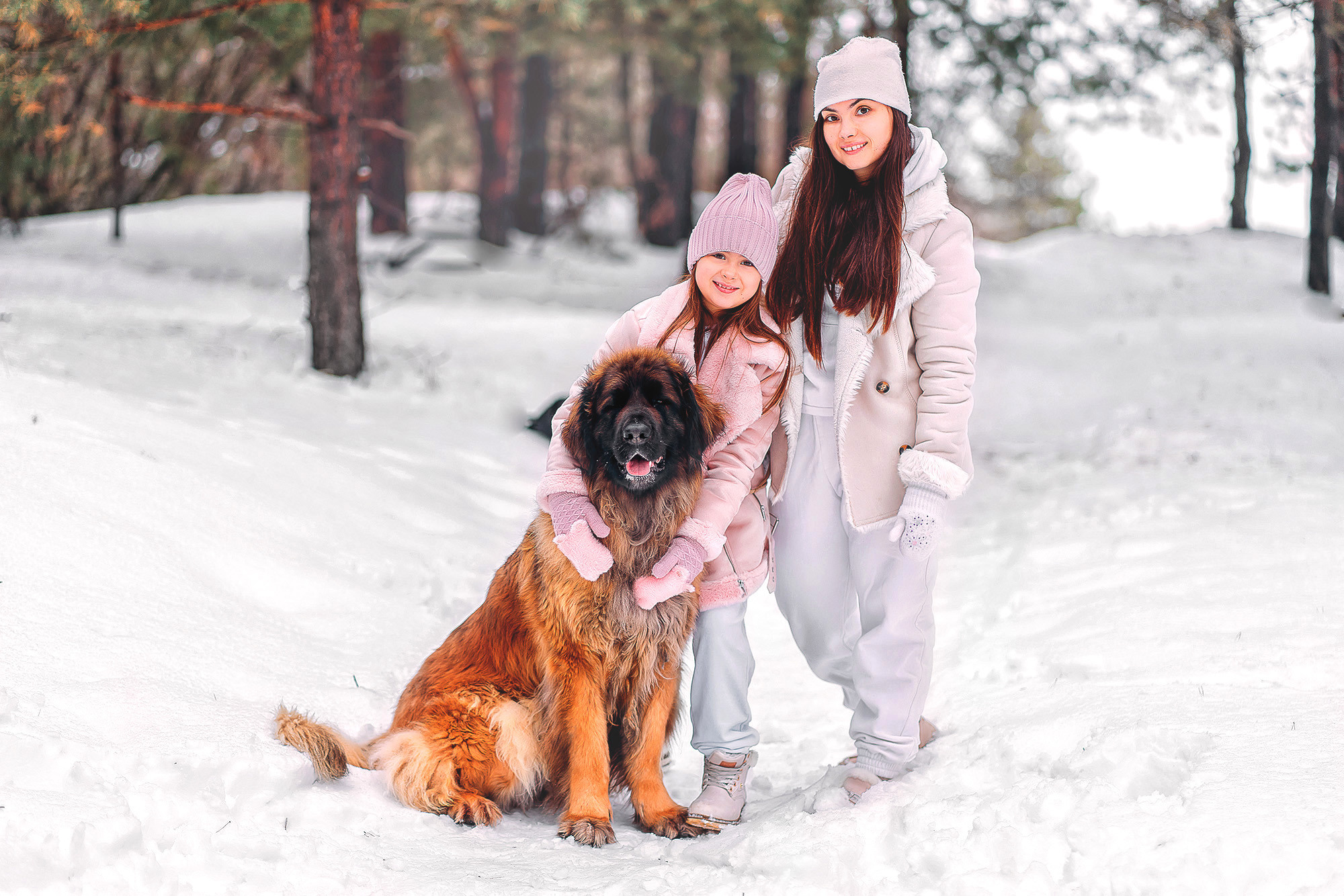 Фотопроект с собаками. Наталья Градова. Семейный и детский фотограф в Нижнем Новгороде