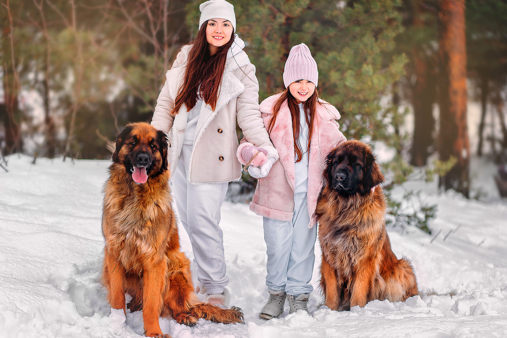 Фотопроект с собаками. Наталья Градова. Семейный и детский фотограф в Нижнем Новгороде