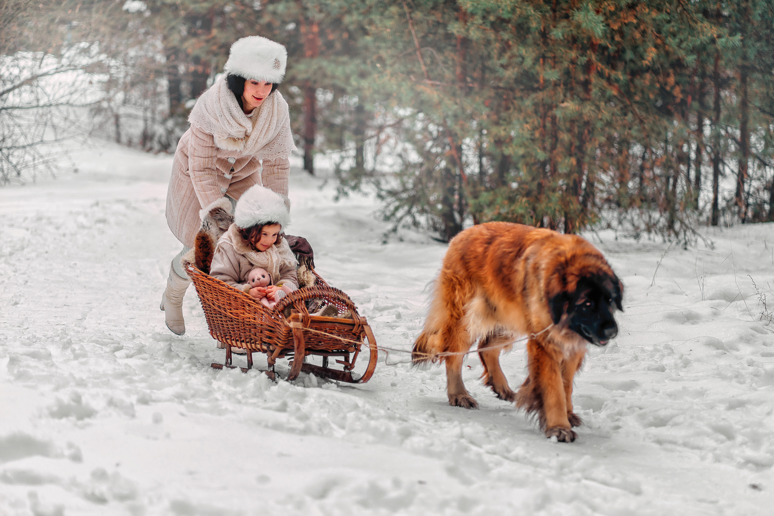 Лесная прогулка. Наталья Градова. Семейный и детский фотограф в Нижнем Новгороде