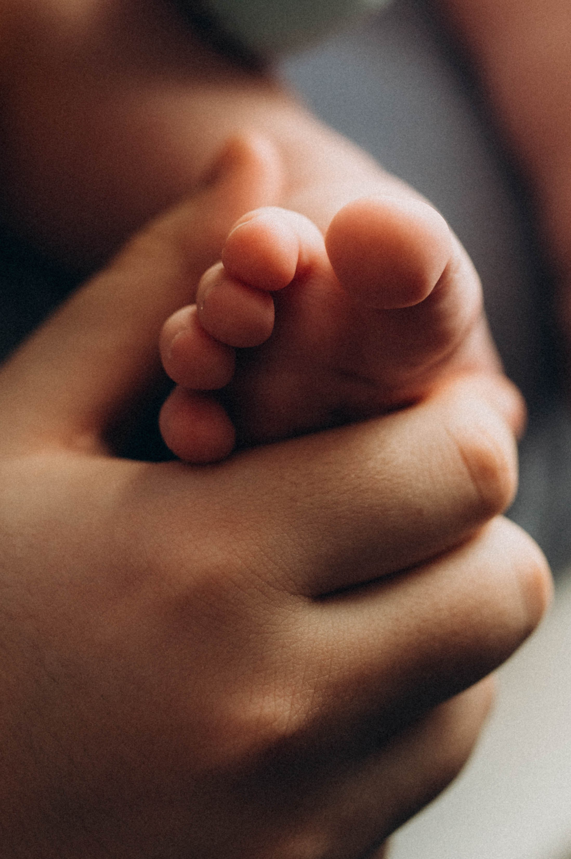 Алина и Стёпа. Свадебный и семейный фотограф в Чите Юлия Оранская