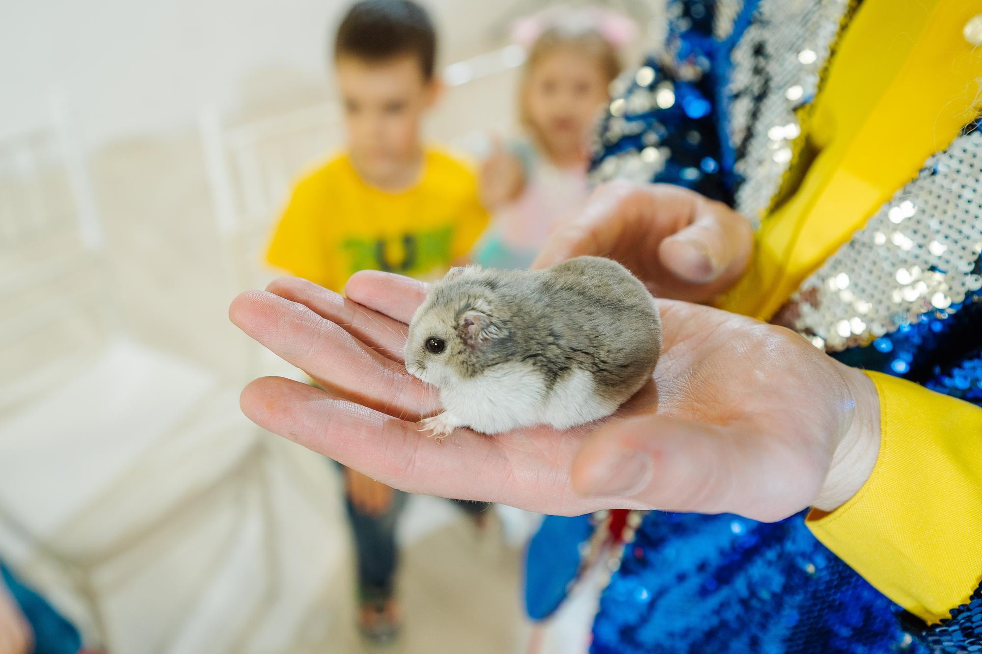 Фабрика карнавалa