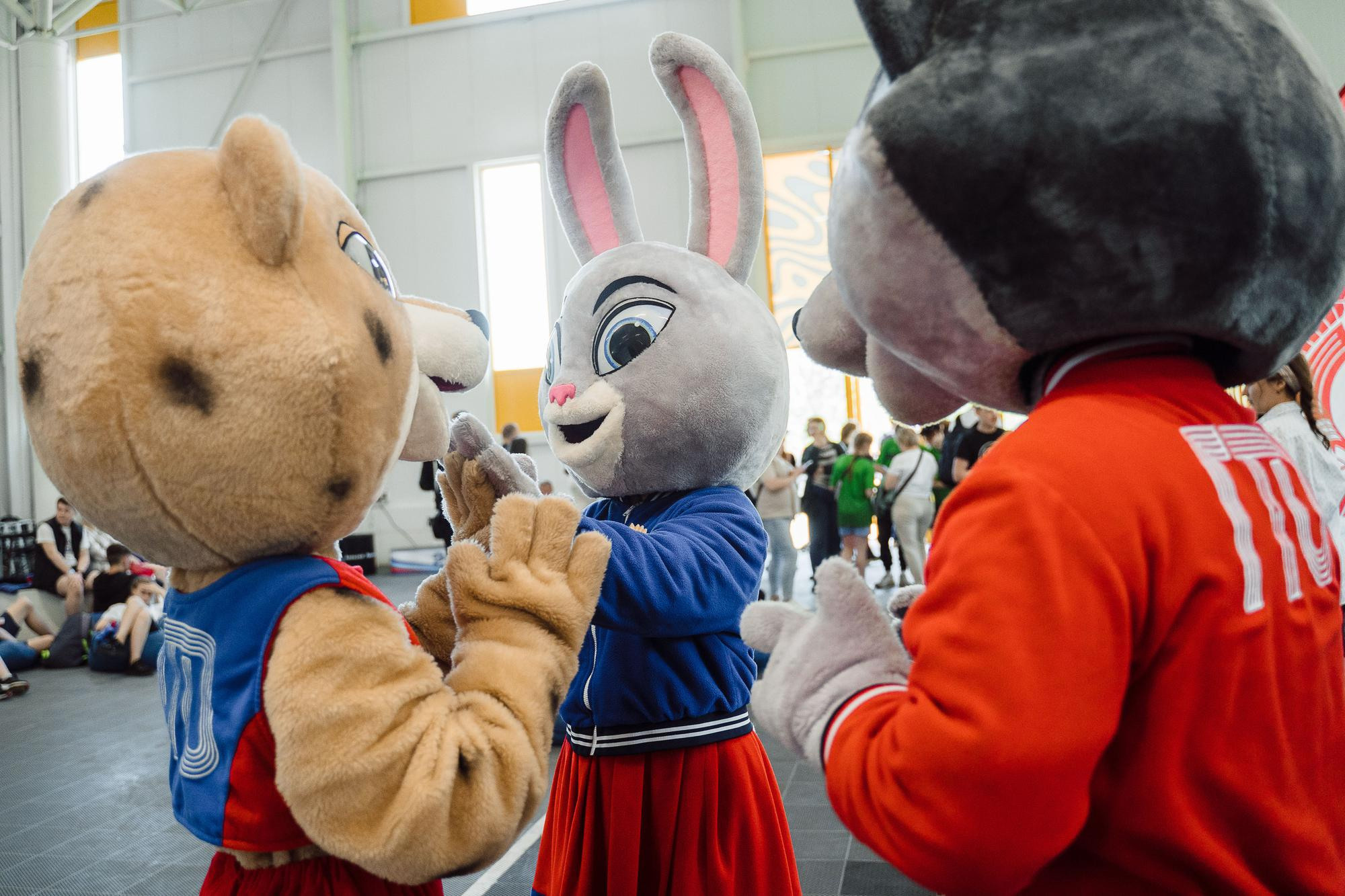 Нормативы ГТО | Открытие мотосезона