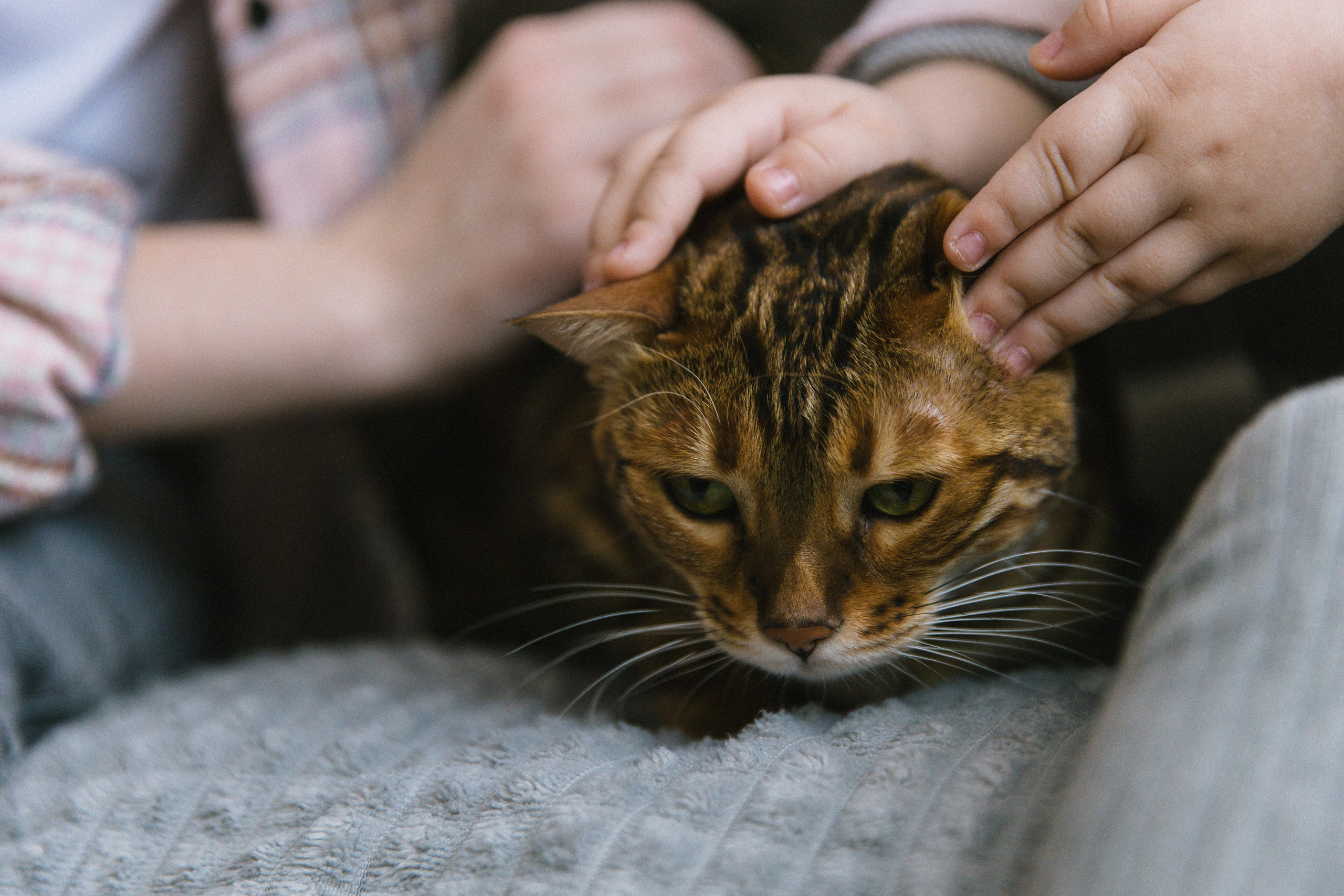 Юлия и Яна. Свадебный фотограф Нижний Новгород | Софа Полякова