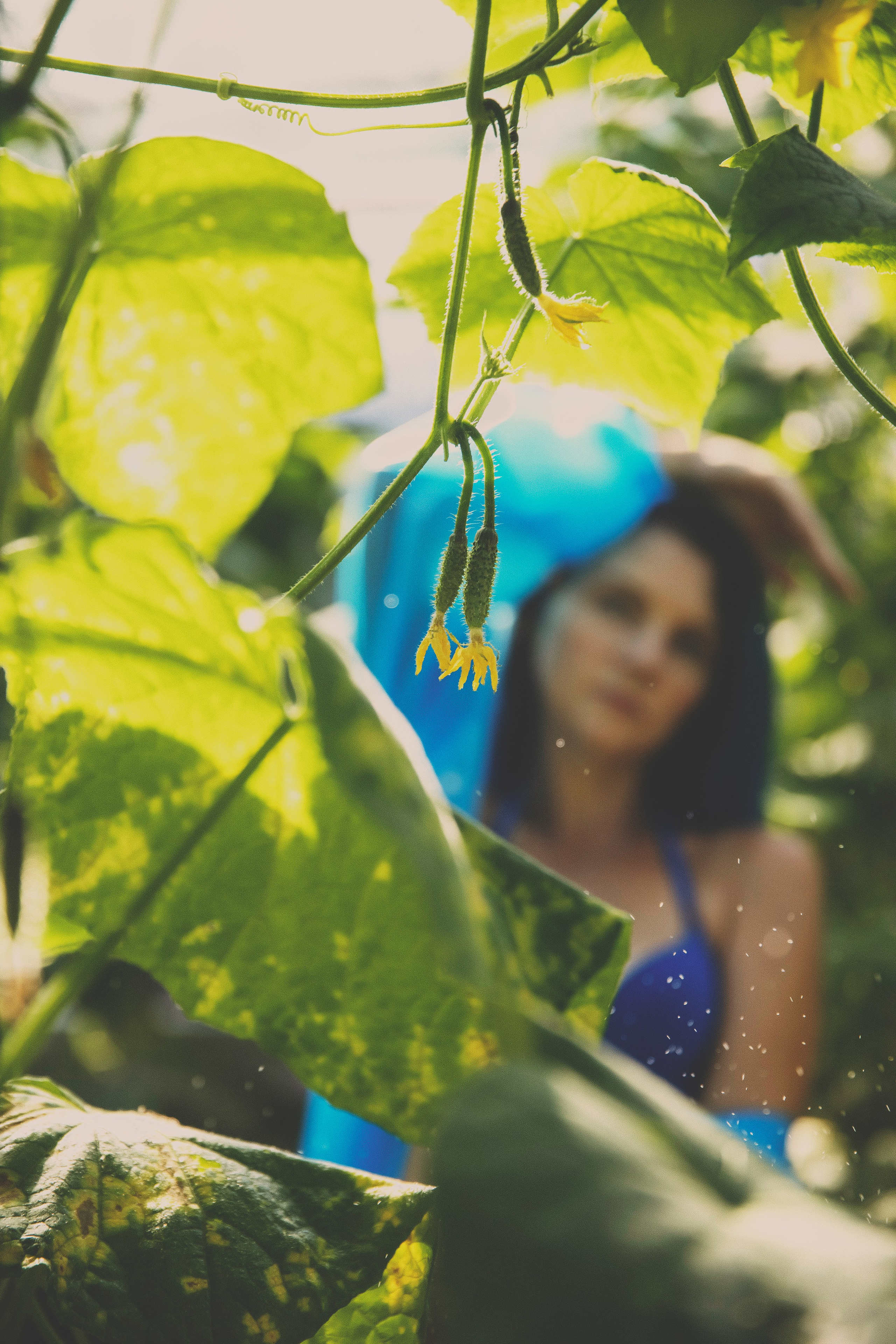 Вероника. Свадебный и семейный фотограф Колоскова Мария (Сочи и весь мир)