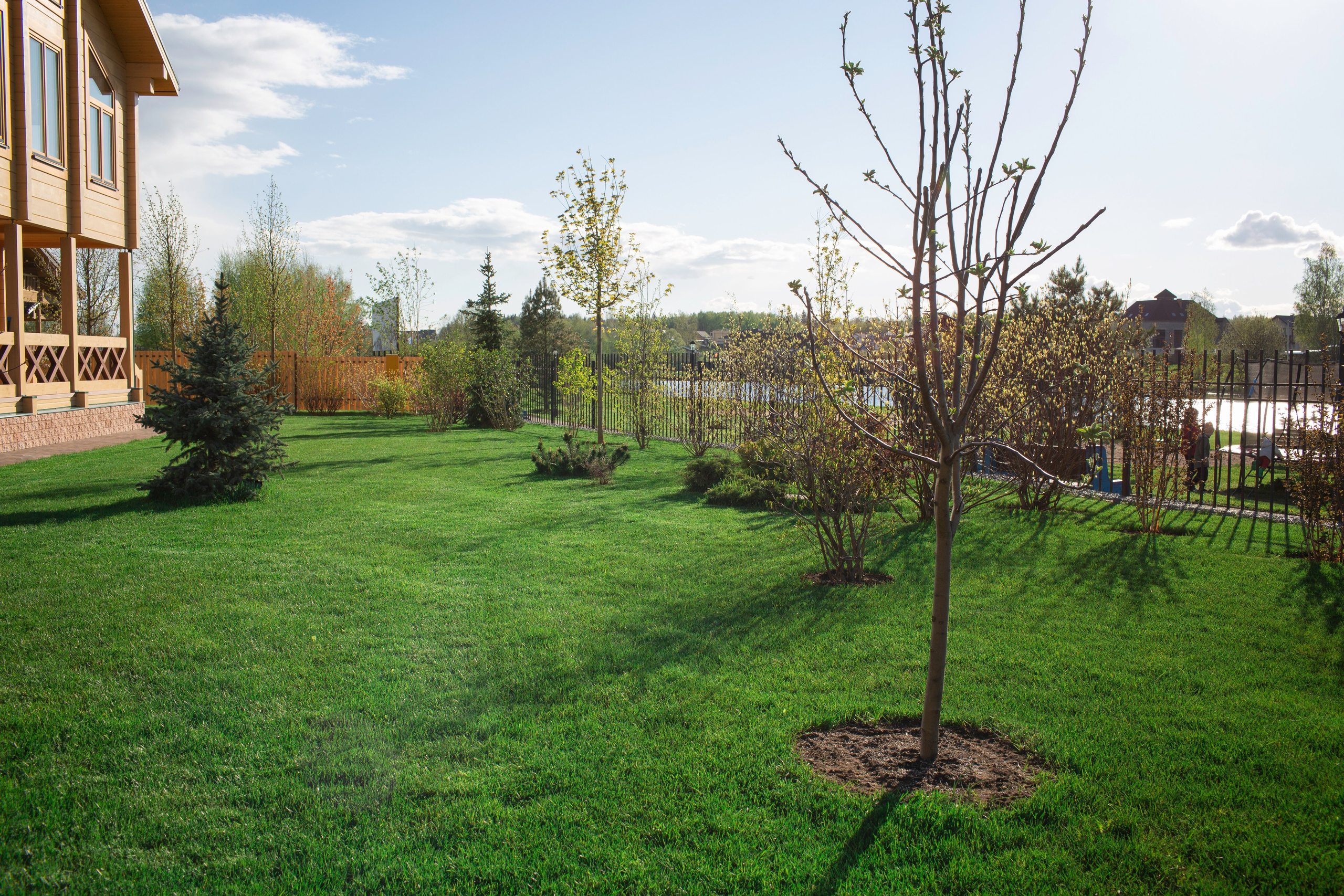 Ландшафтный дизайн. Фотограф Наталья Молчанова