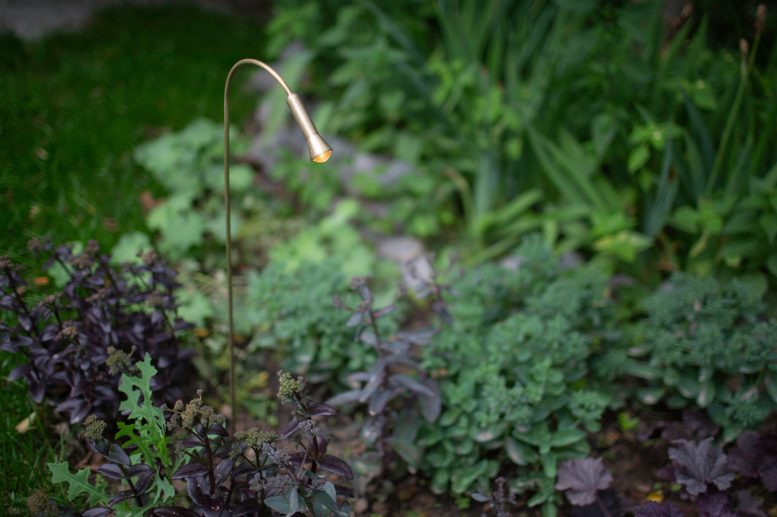 Декоративный ландшафтный свет TEMPARIUM. Фотограф Наталья Молчанова