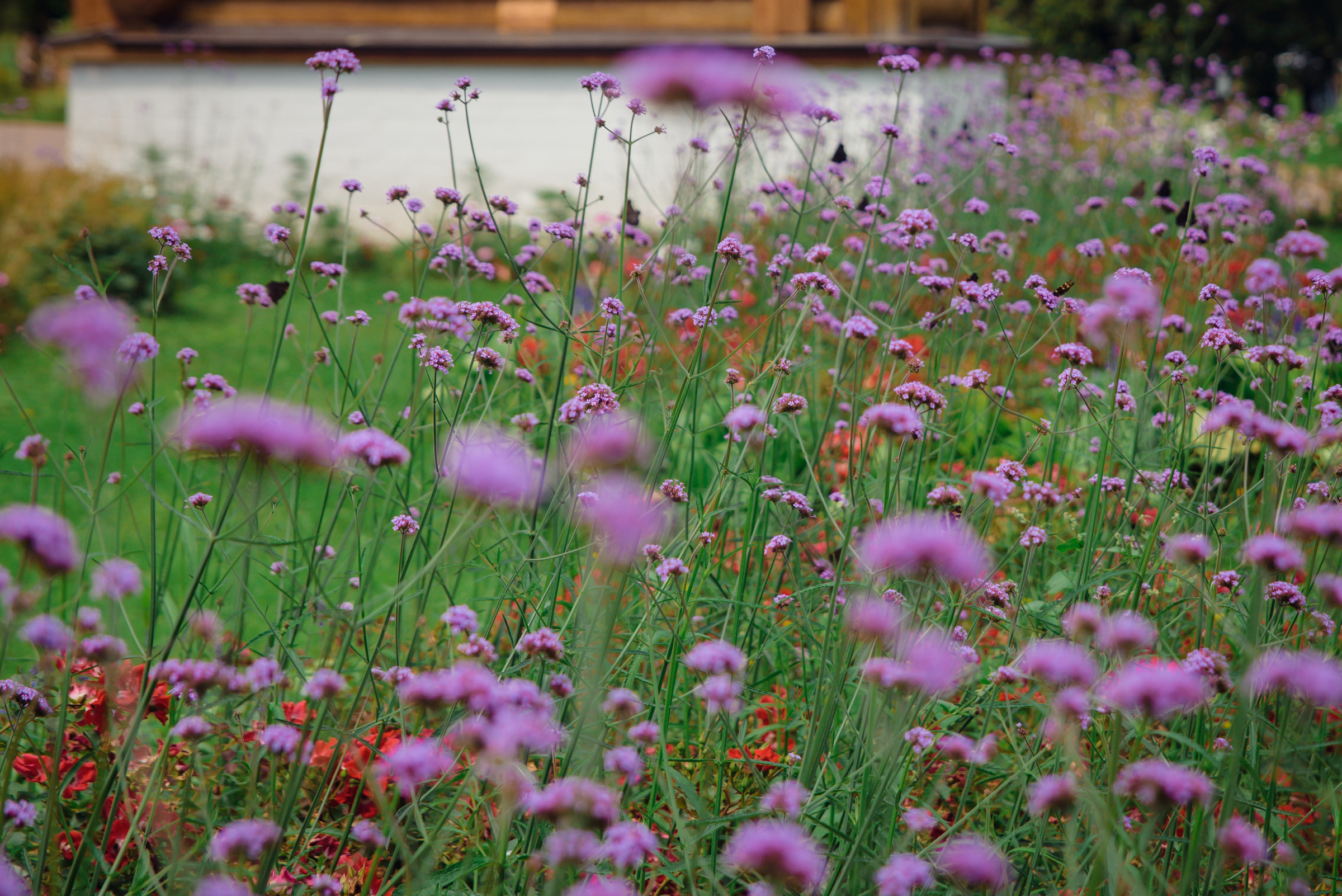 Володя & Юлия. Видеограф и фотограф на свадьбу в Москве