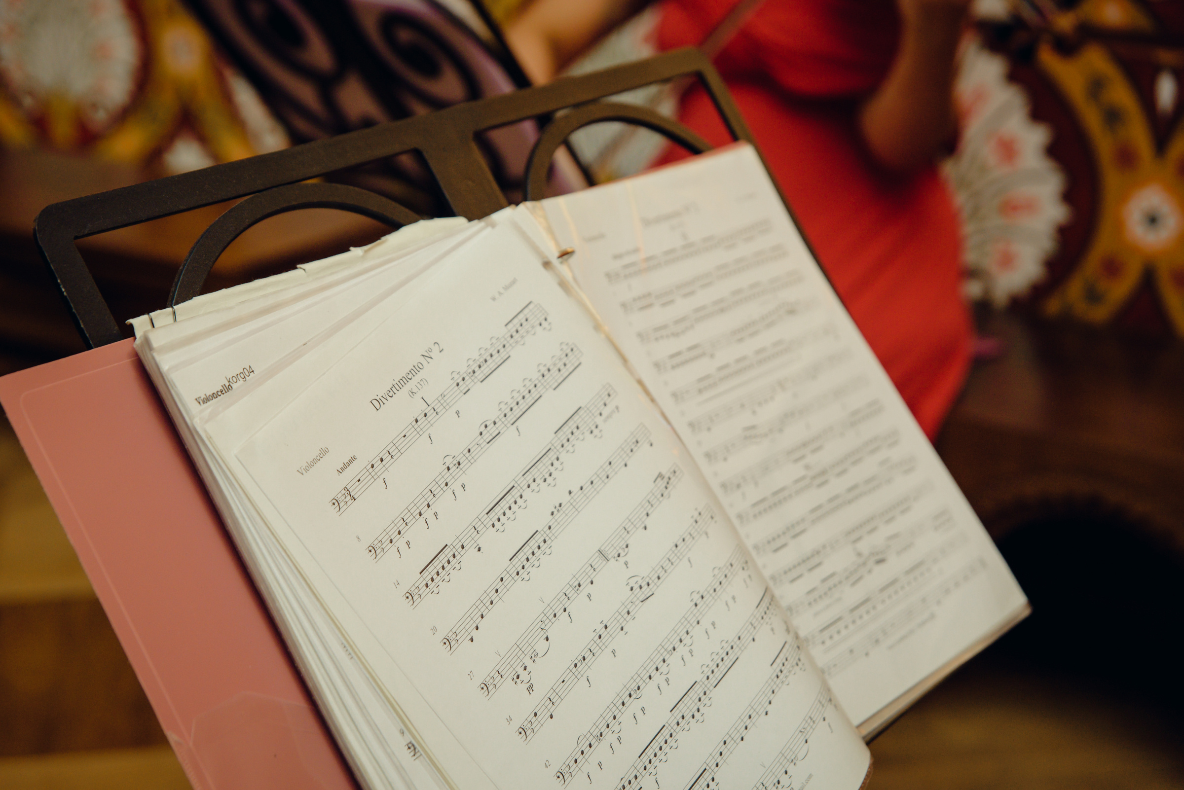 Екатерина & Никита. Видеограф и фотограф на свадьбу в Москве