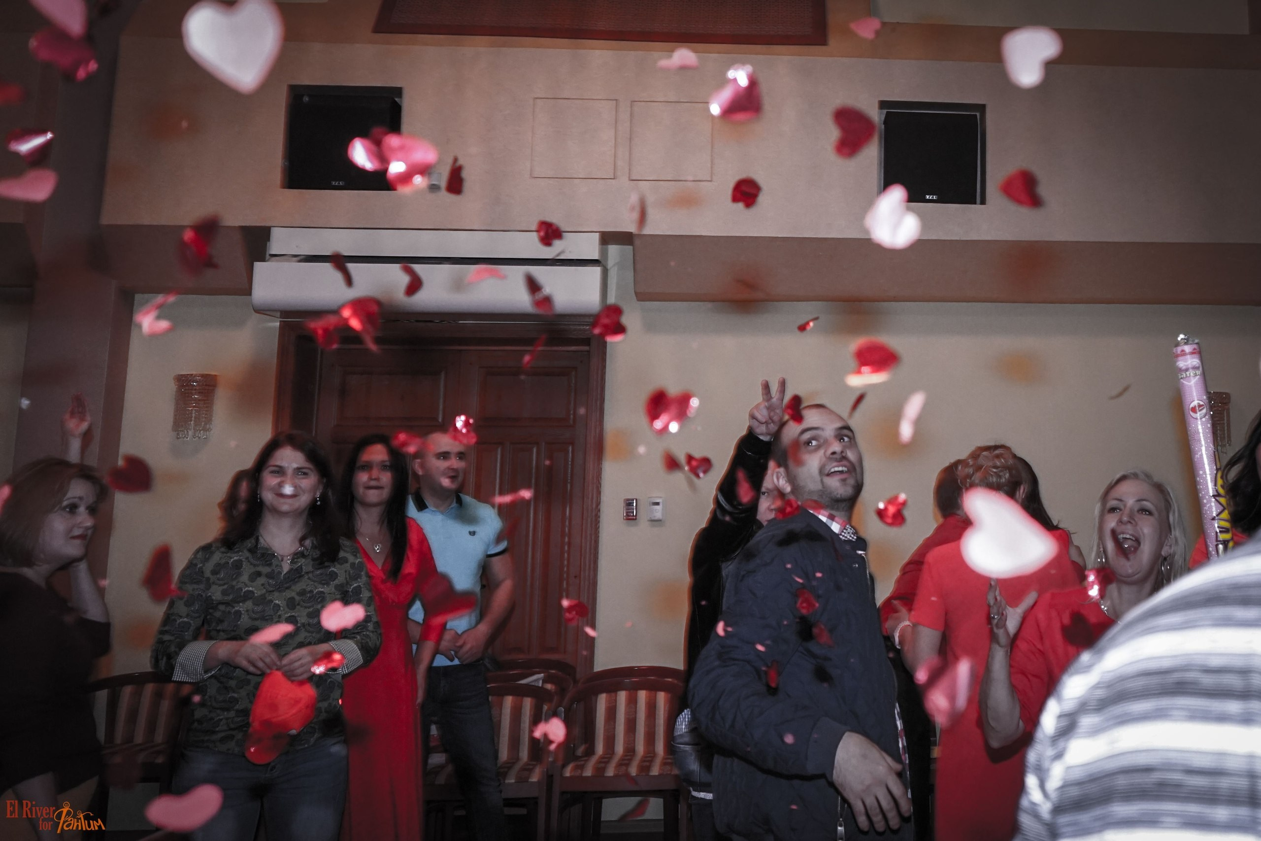 ФВН | 2016. Галерея Фантим