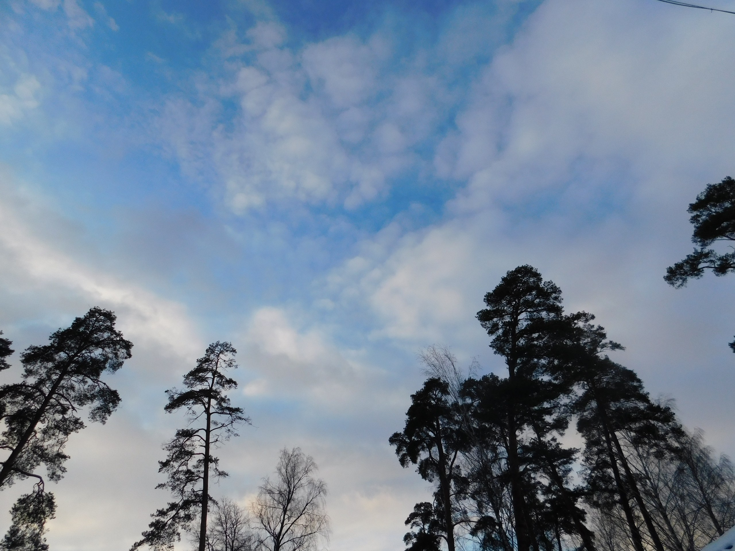 Пейнтбол + шашлычки | 23.02.2020. Галерея Фантим