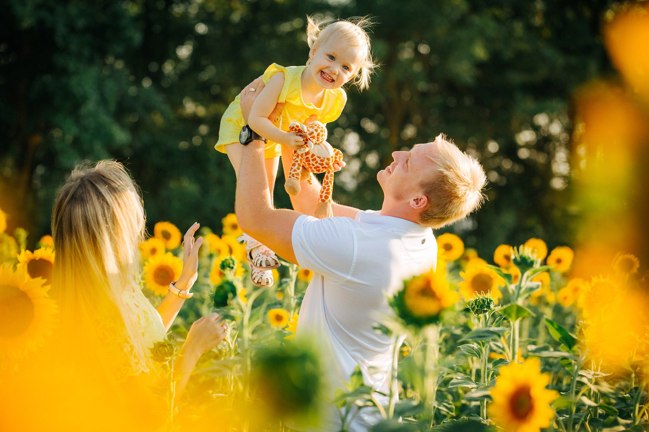 Подсолнухи!. Семейный, детский, свадебный, фотограф в городе Анапа