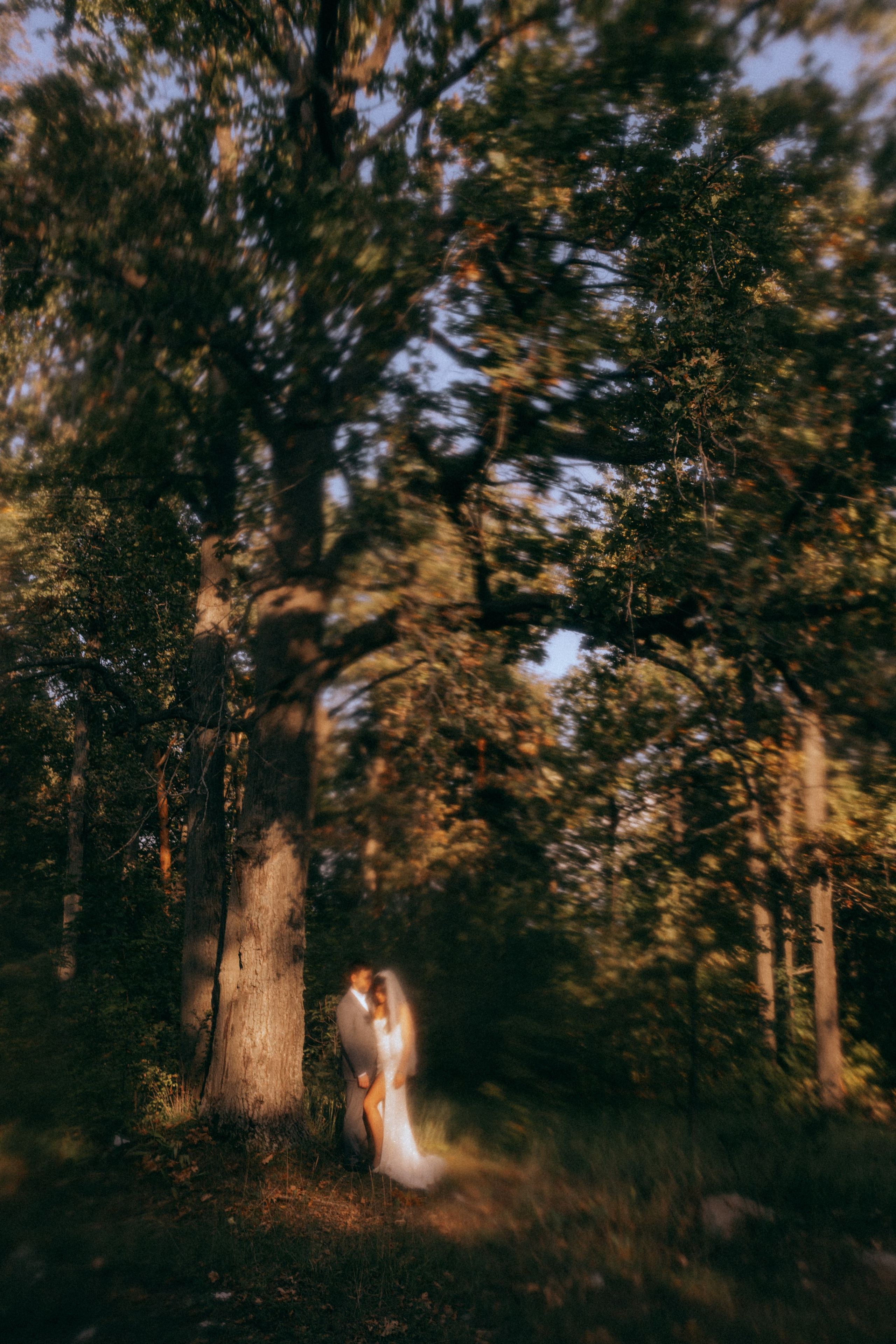 Свадьба Лес. Свадебный фотограф Казань