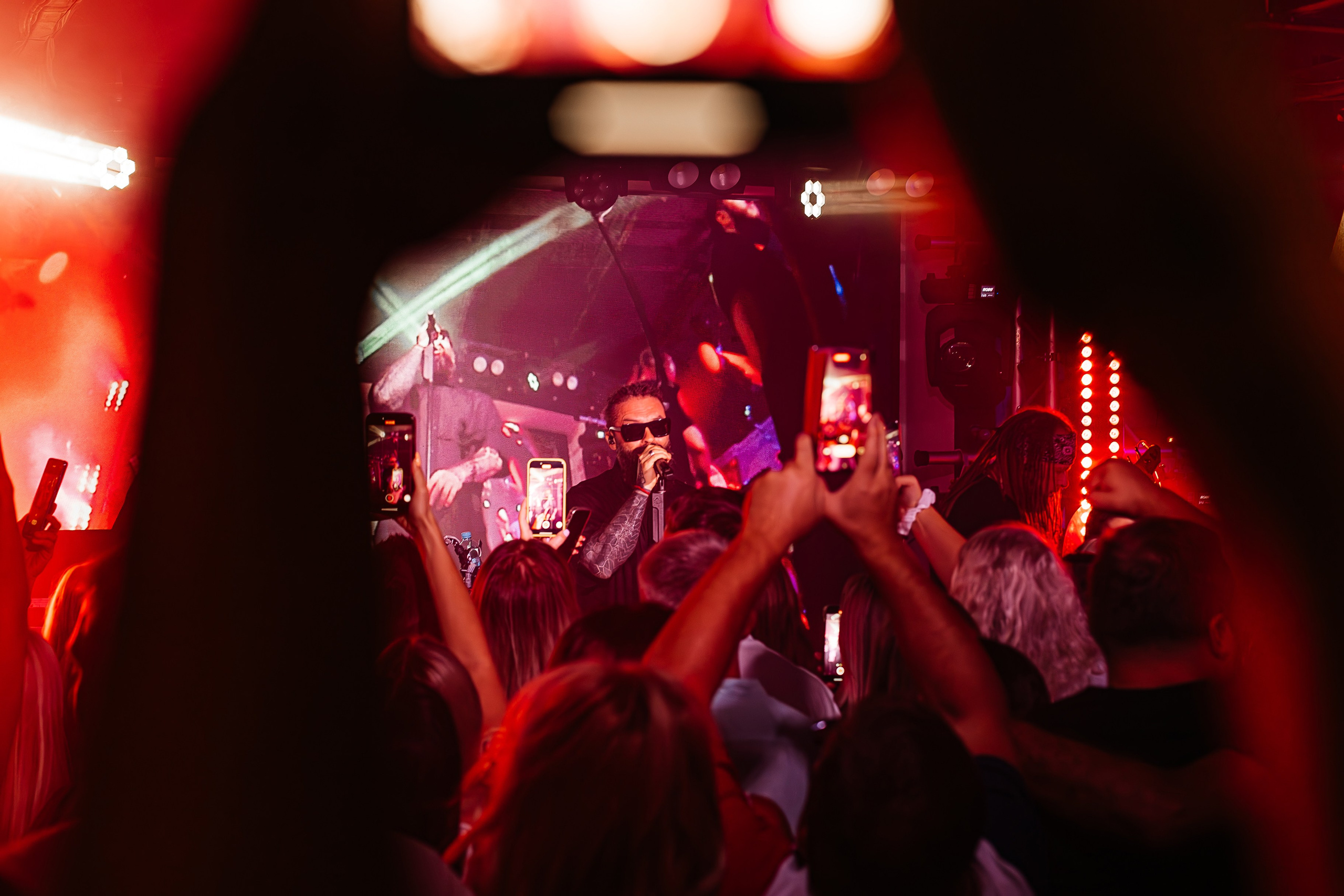 Бурито_Чайка_на_пляже_Ялта 23.08.2024. Аминов Руслан | Фотограф