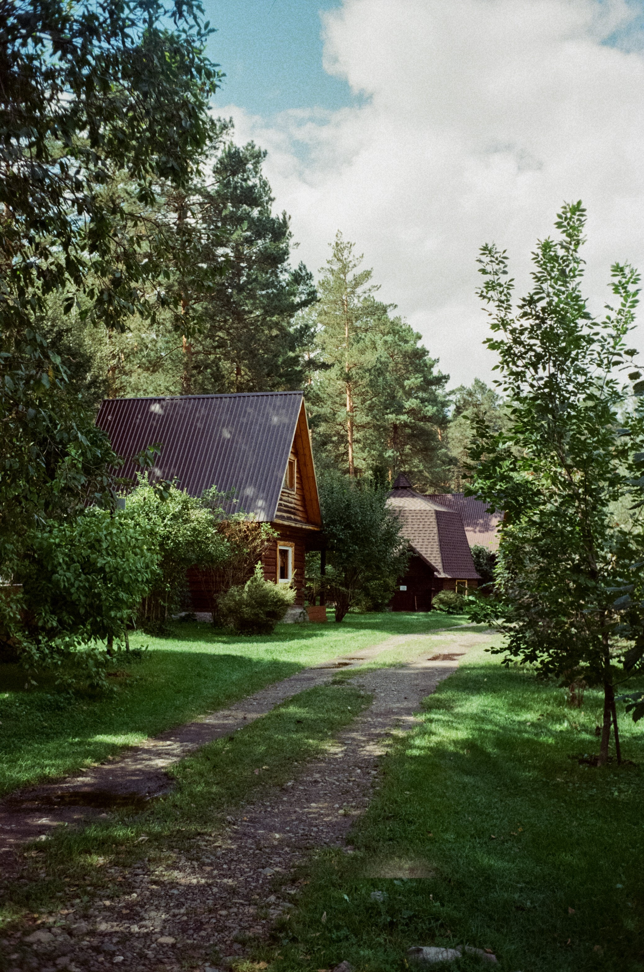 Горно-алтайский ботанический сад, база Кедровый остров / 27 августа 2024 года