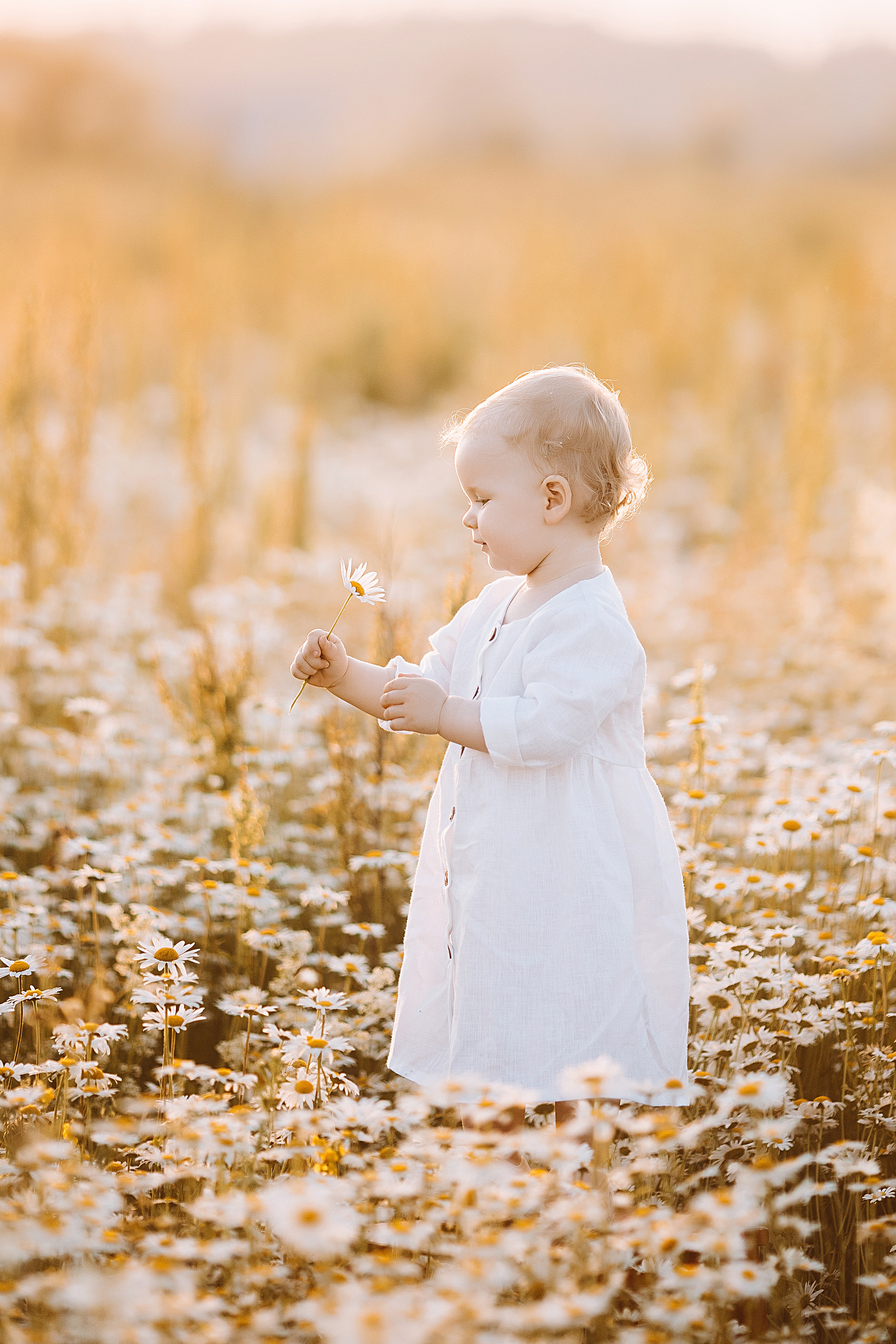 Фотосессии в ромашковых полях. Семейный фотограф в Москве! Сохраните воспоминания с любовью