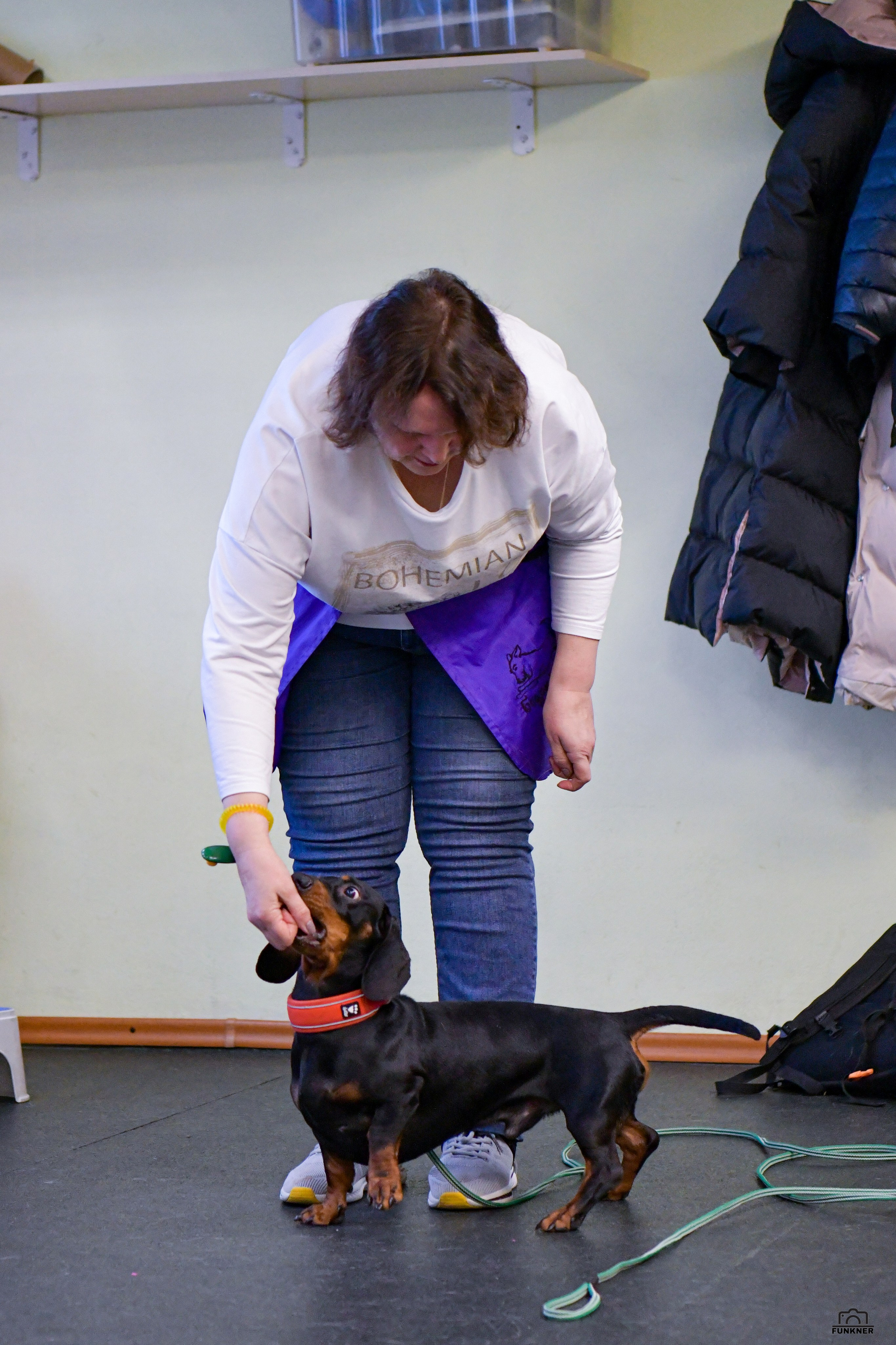 Кинологический клуб «Бодрый хвост». Свой взгляд через объектив