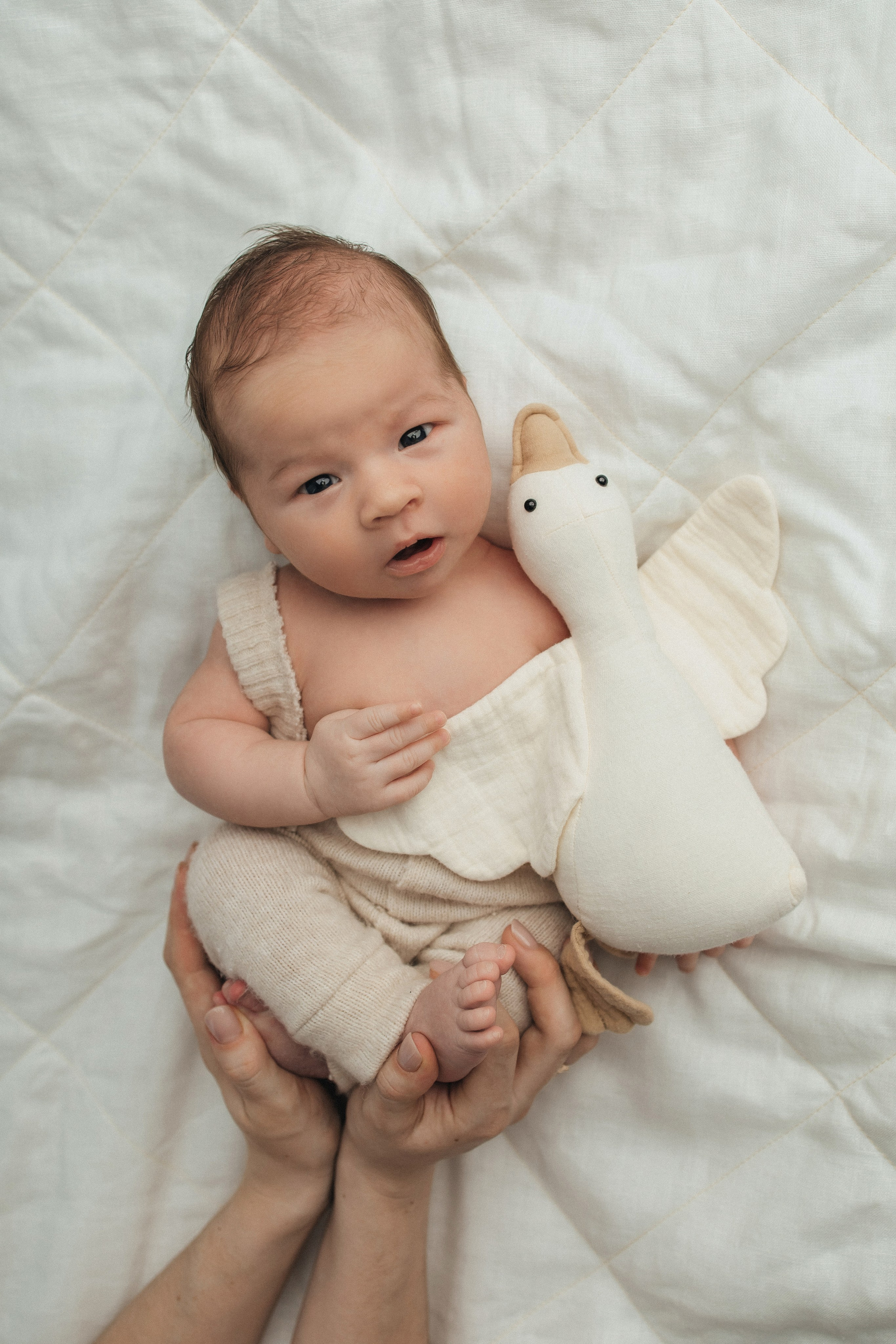 Newborn (14-30 дней). Истории