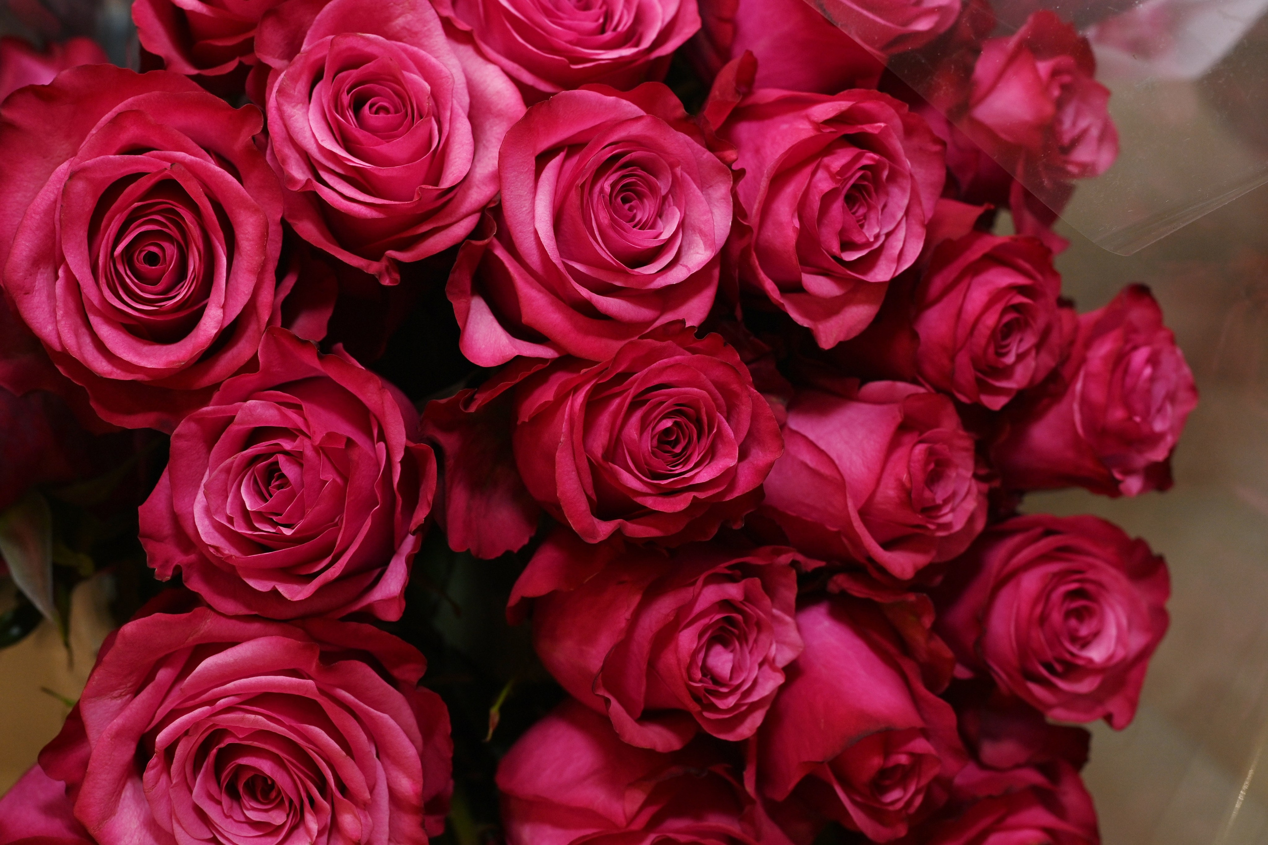 Фотосъёмка помолвки в частном доме. Свадебный и семейный фотограф в Москве Ирина Гончарова