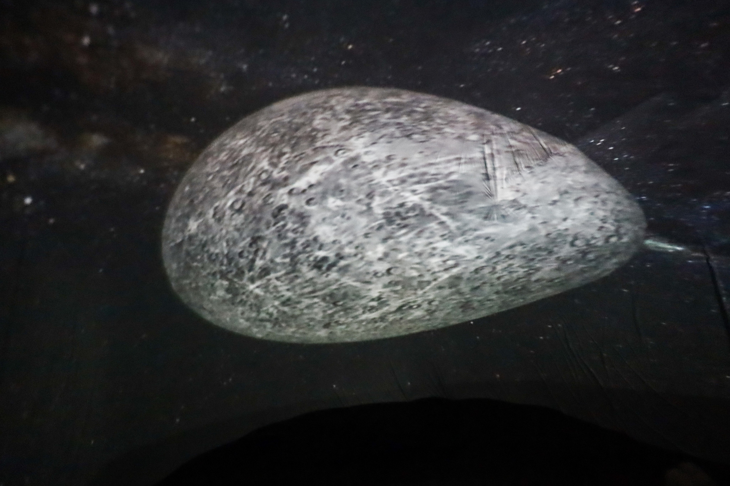 ДЕНЬ РОЖДЕНИЯ МАКСИМА 2 ГОДА. Фотограф мероприятий Ирина Каширина