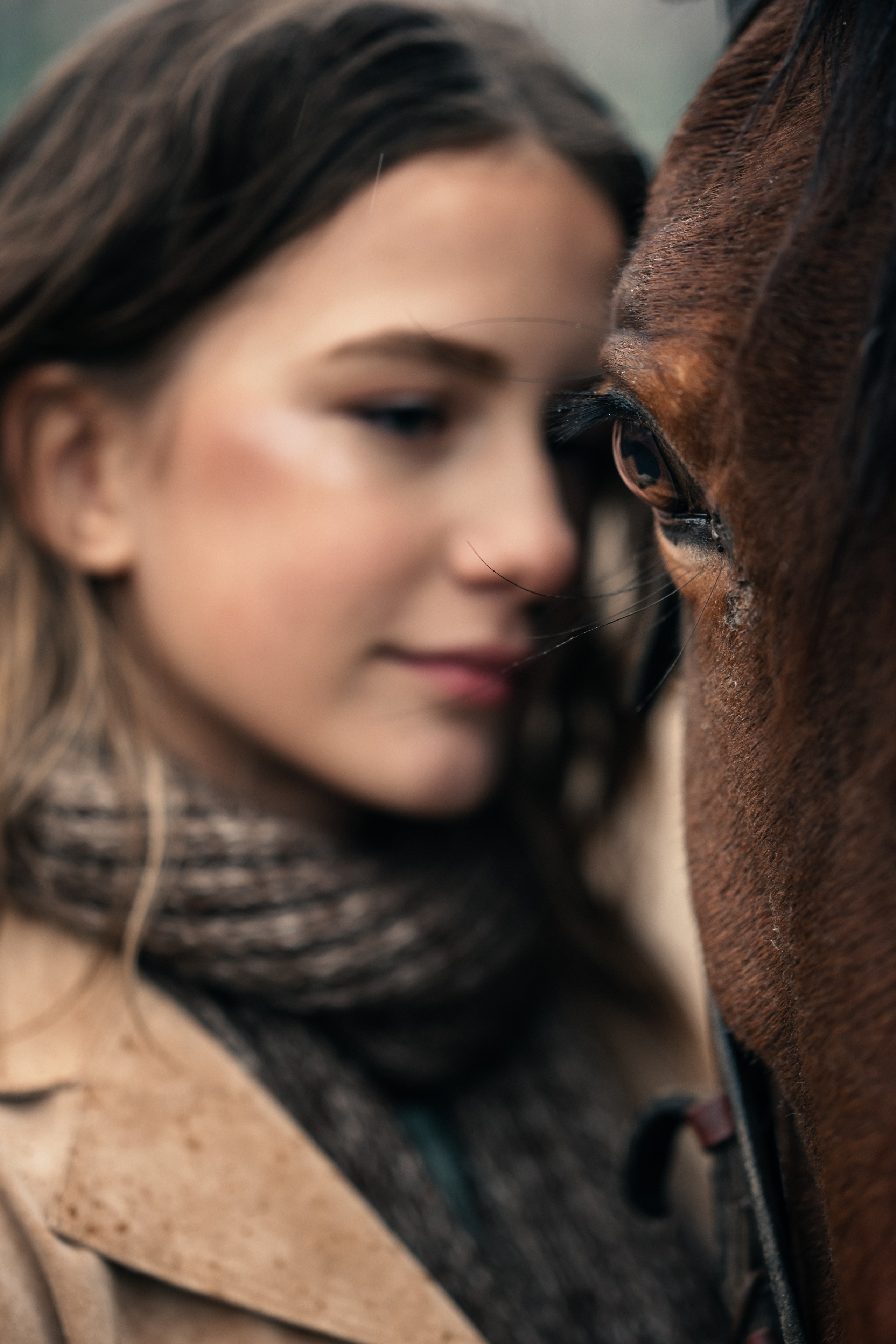 На конюшне. Belichev45foto.ru