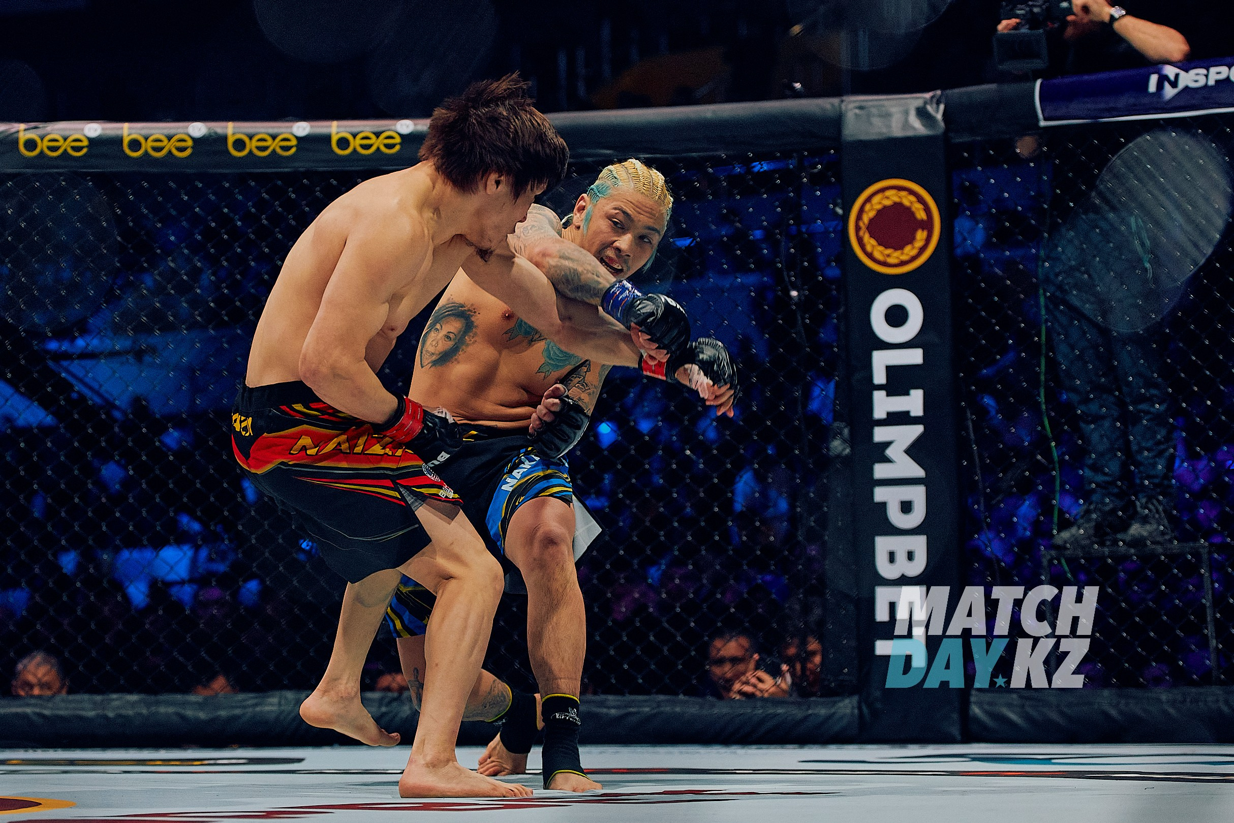 Naiza MMA (Astana) 6 December 2023. Professional photo & Event agency (Kazakhstan, Astana)