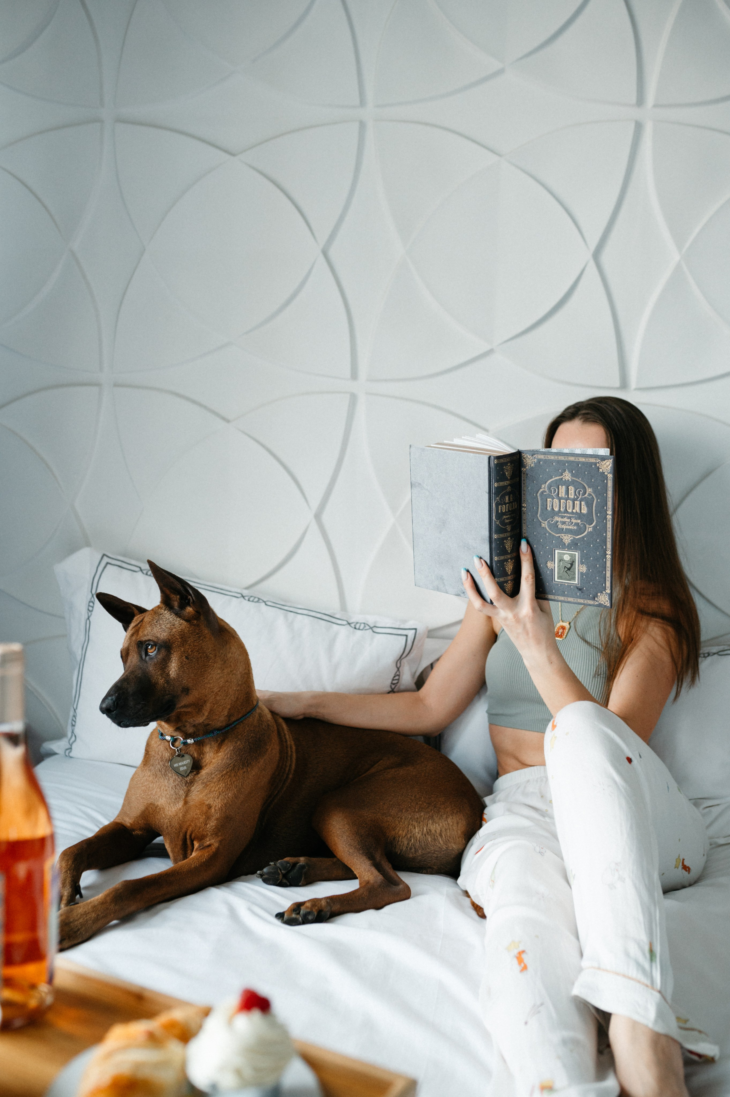 Оксана и Зевс. Фотограф анималист в Москве Ольга Агушева