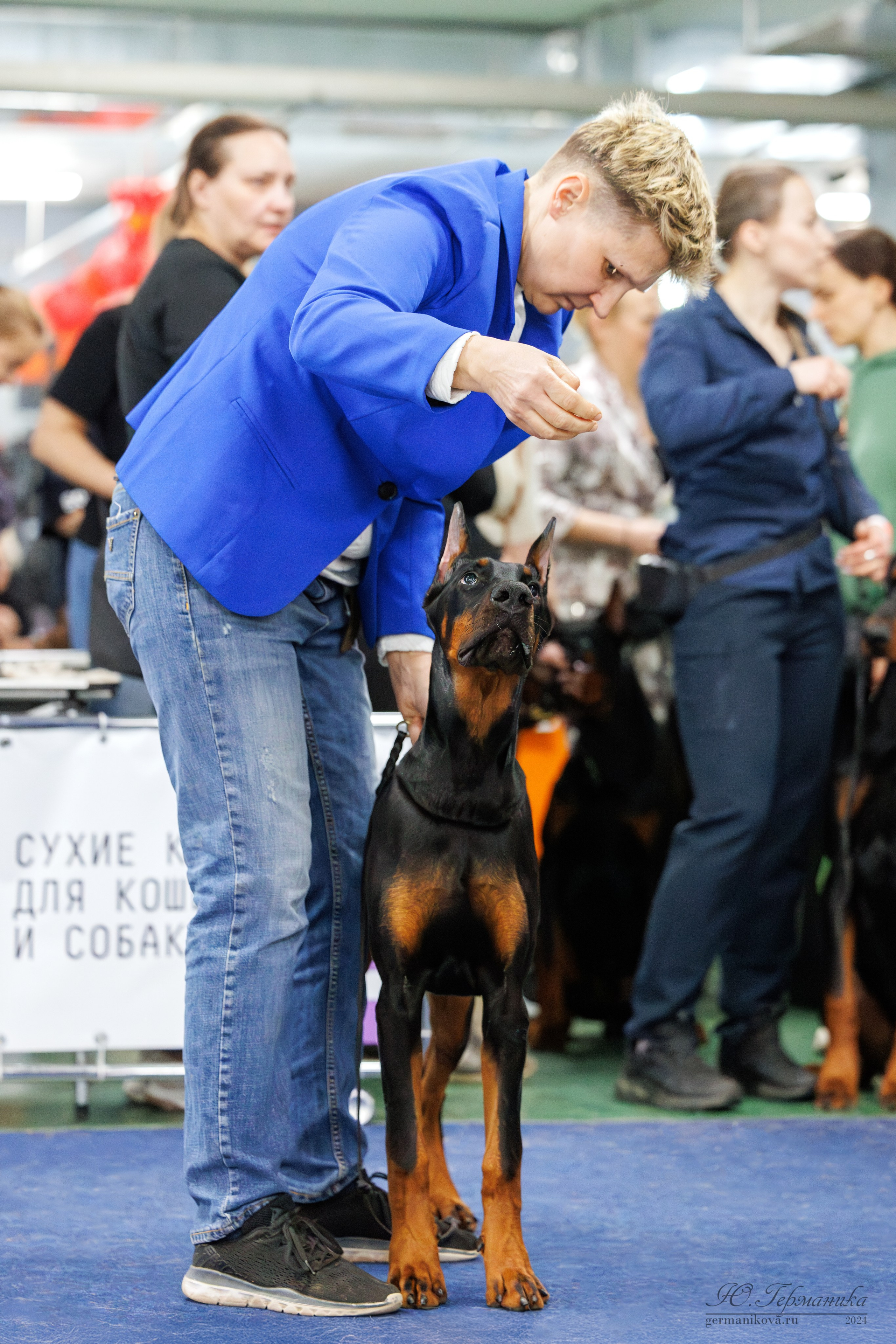 Сфера и Крокус 8,9,16 и 30.03.2025. Фотограф-анималист Юлия Германика