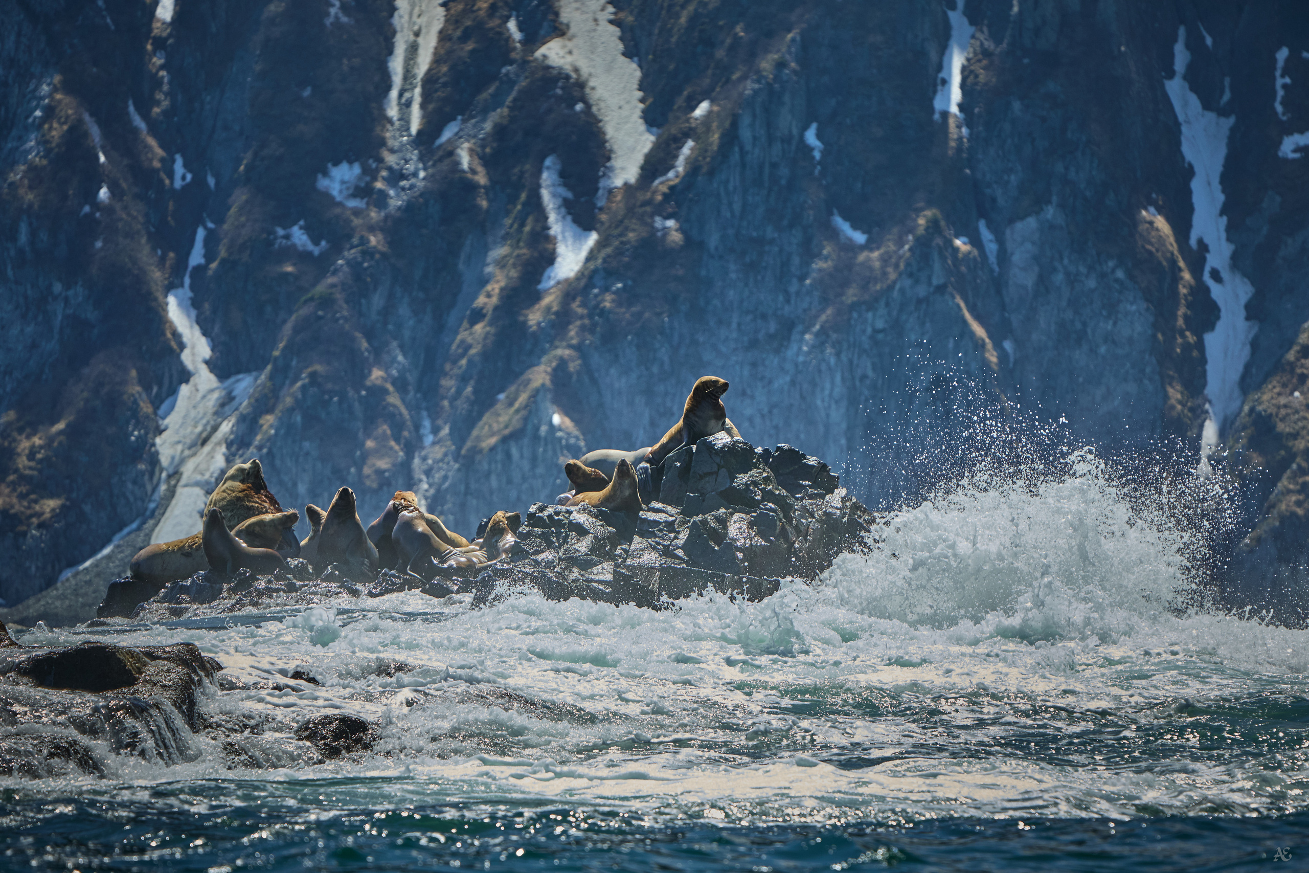 Камчатка. Alexander Ermolenko