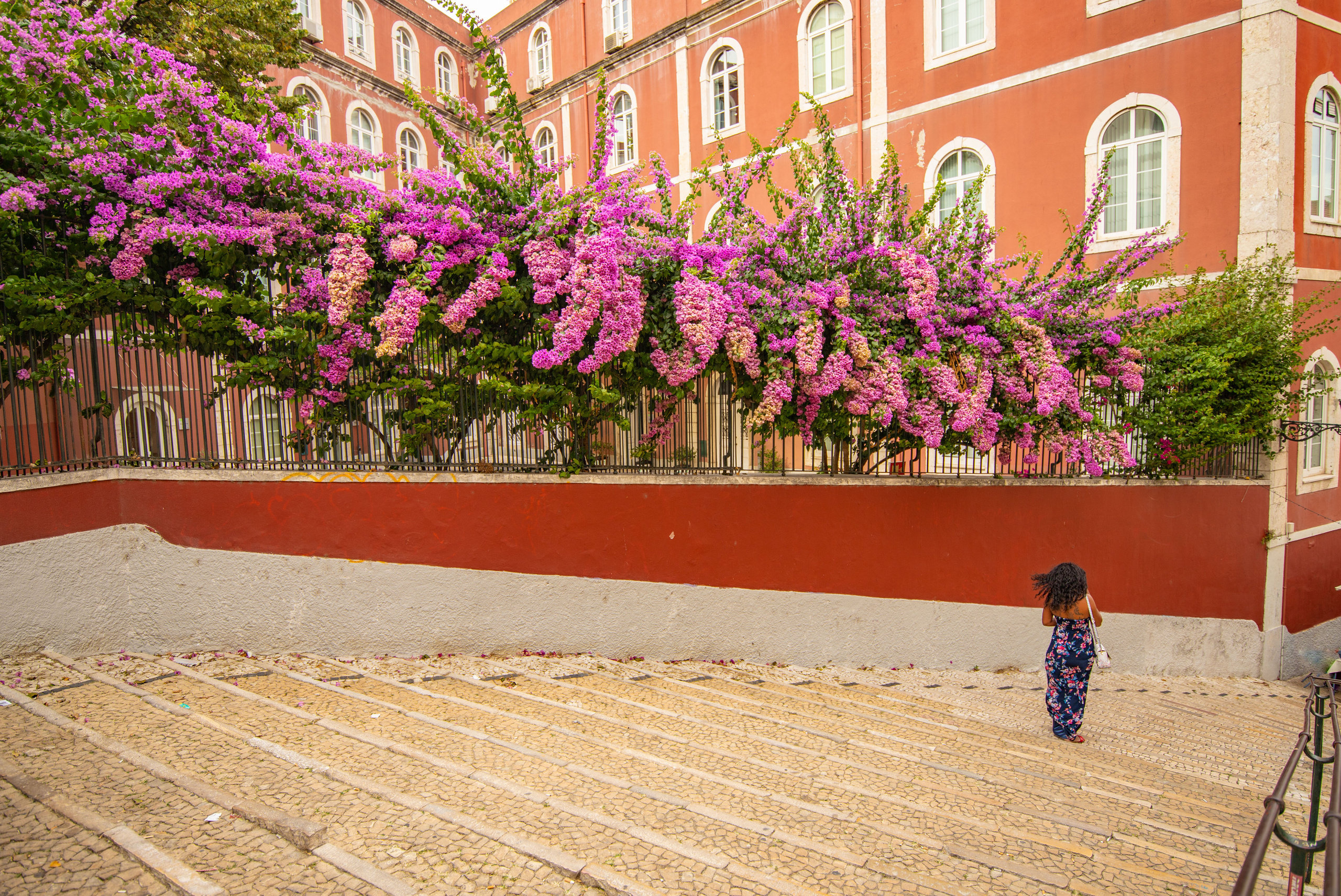 Португалия. Alexander Ermolenko