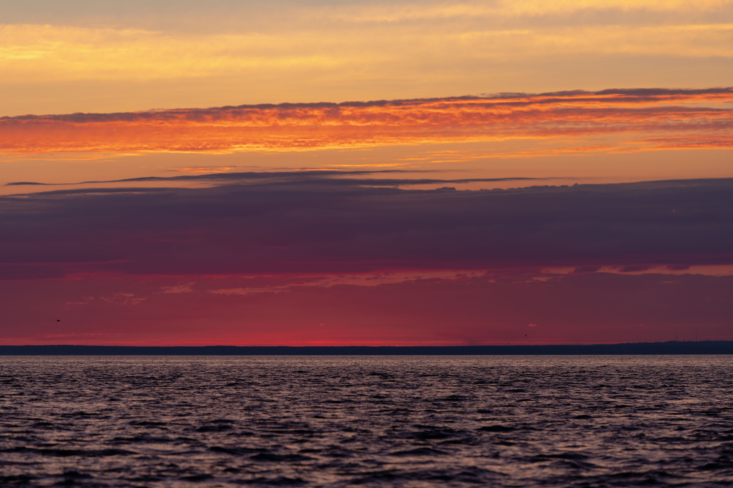 Разное. Alexander Ermolenko