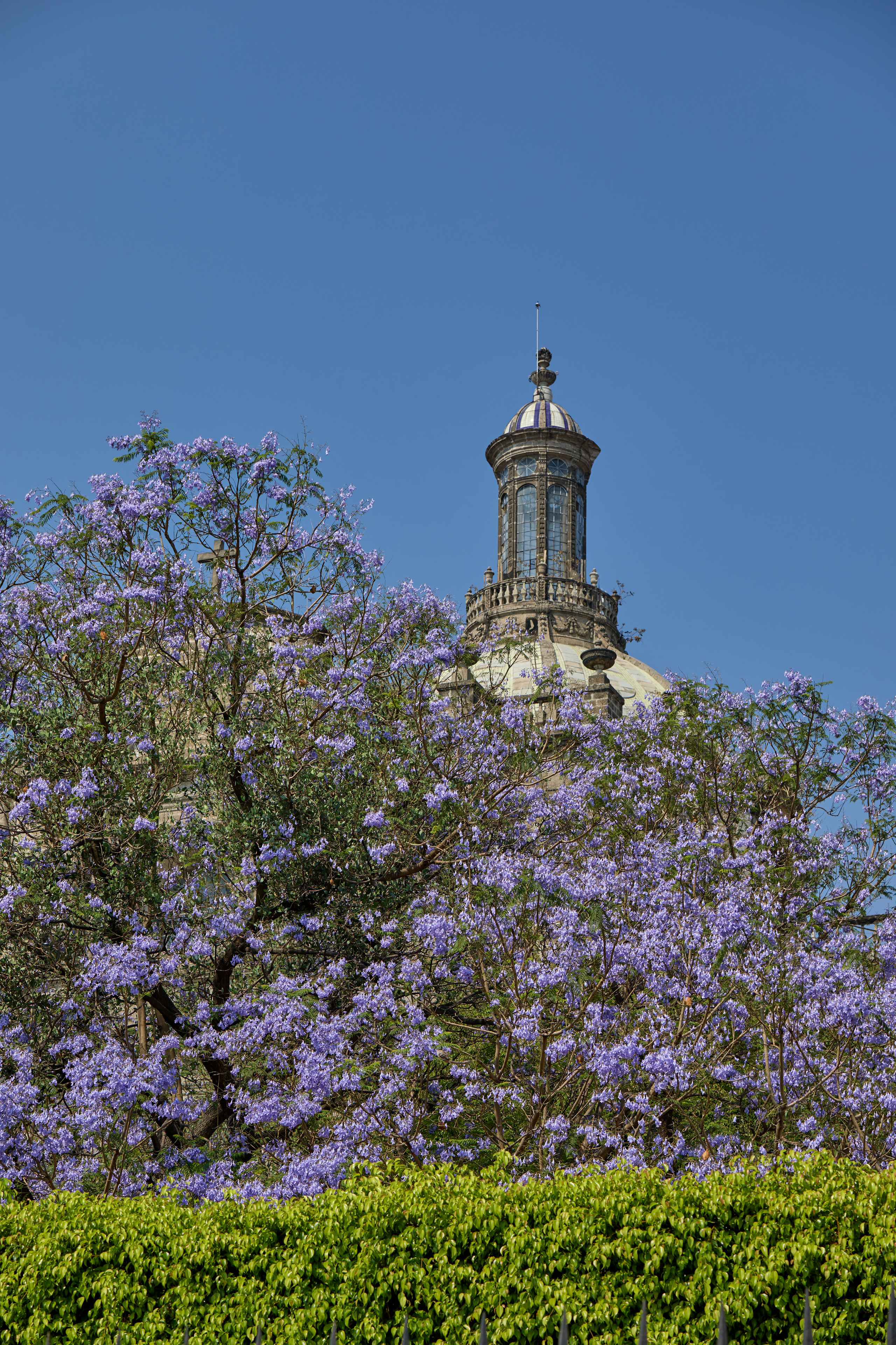 Мексика. Alexander Ermolenko