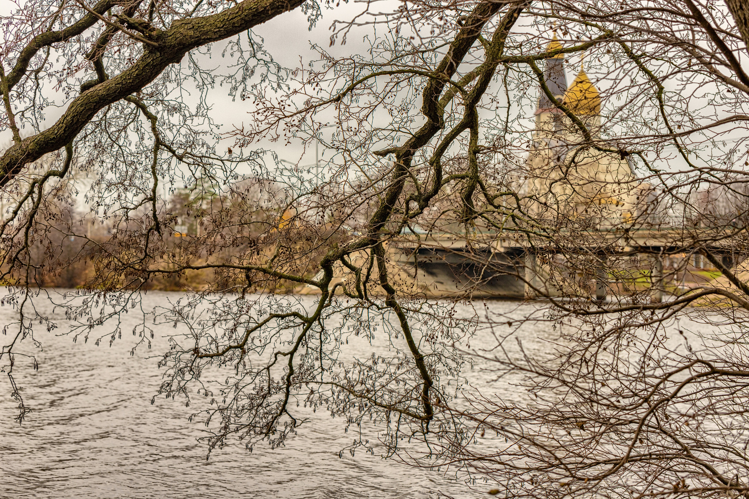 Разное. Alexander Ermolenko