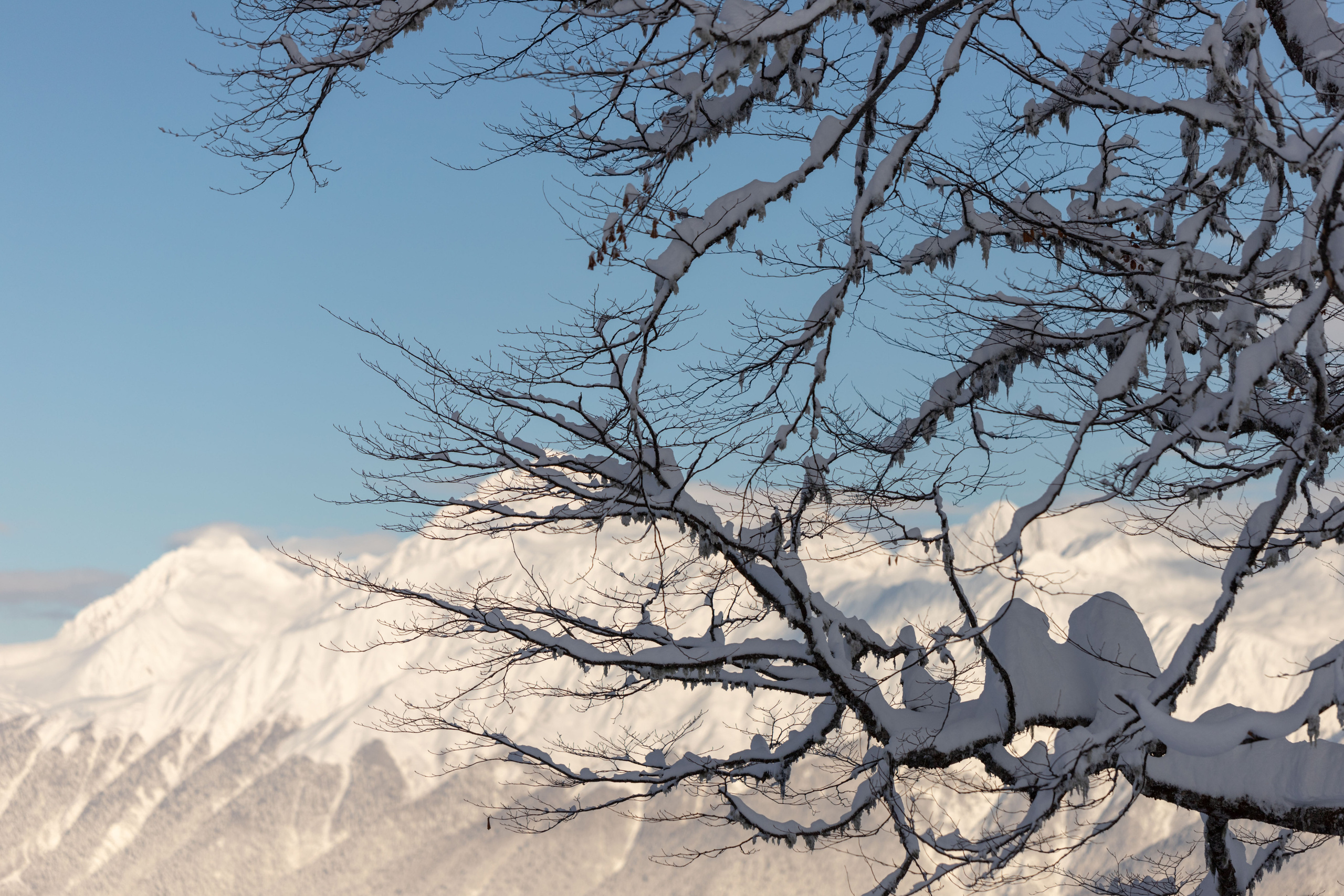 Горы и снег. Alexander Ermolenko