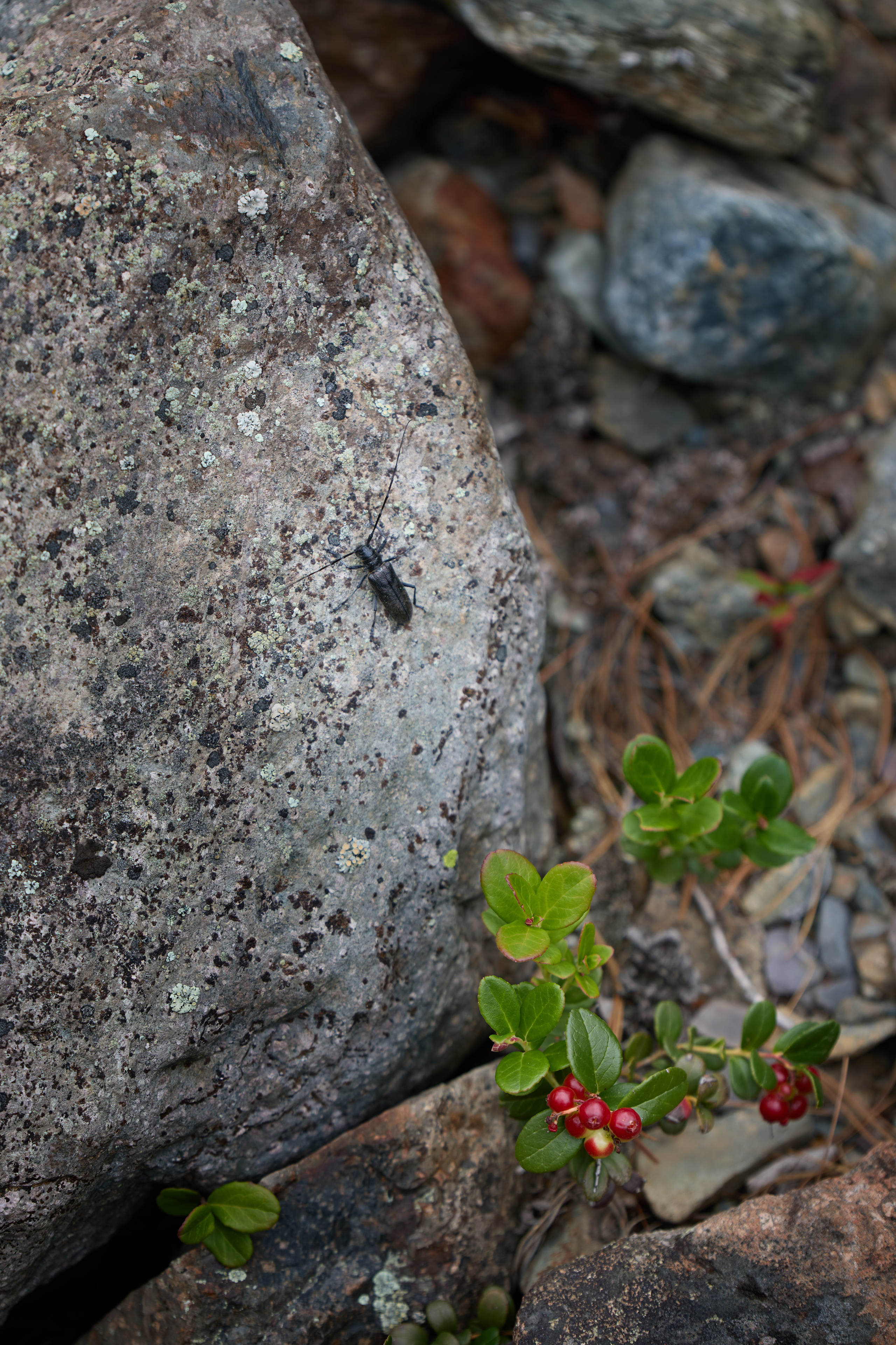 Байкал. Alexander Ermolenko
