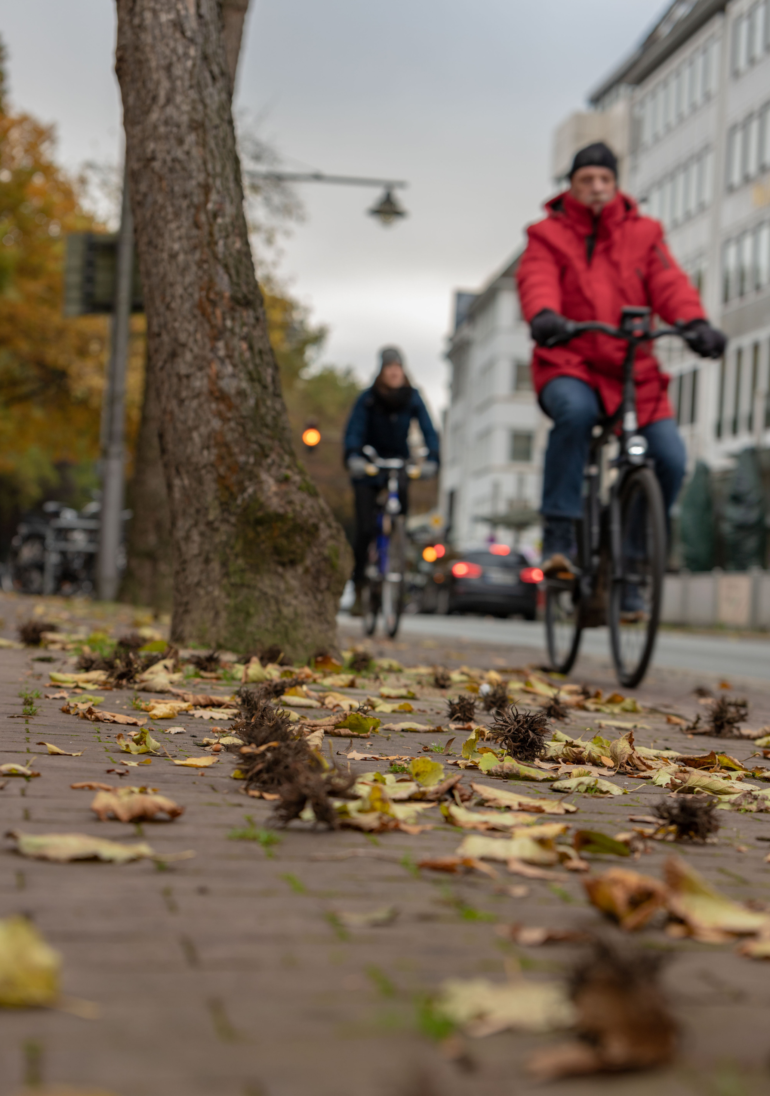 Германия. Alexander Ermolenko