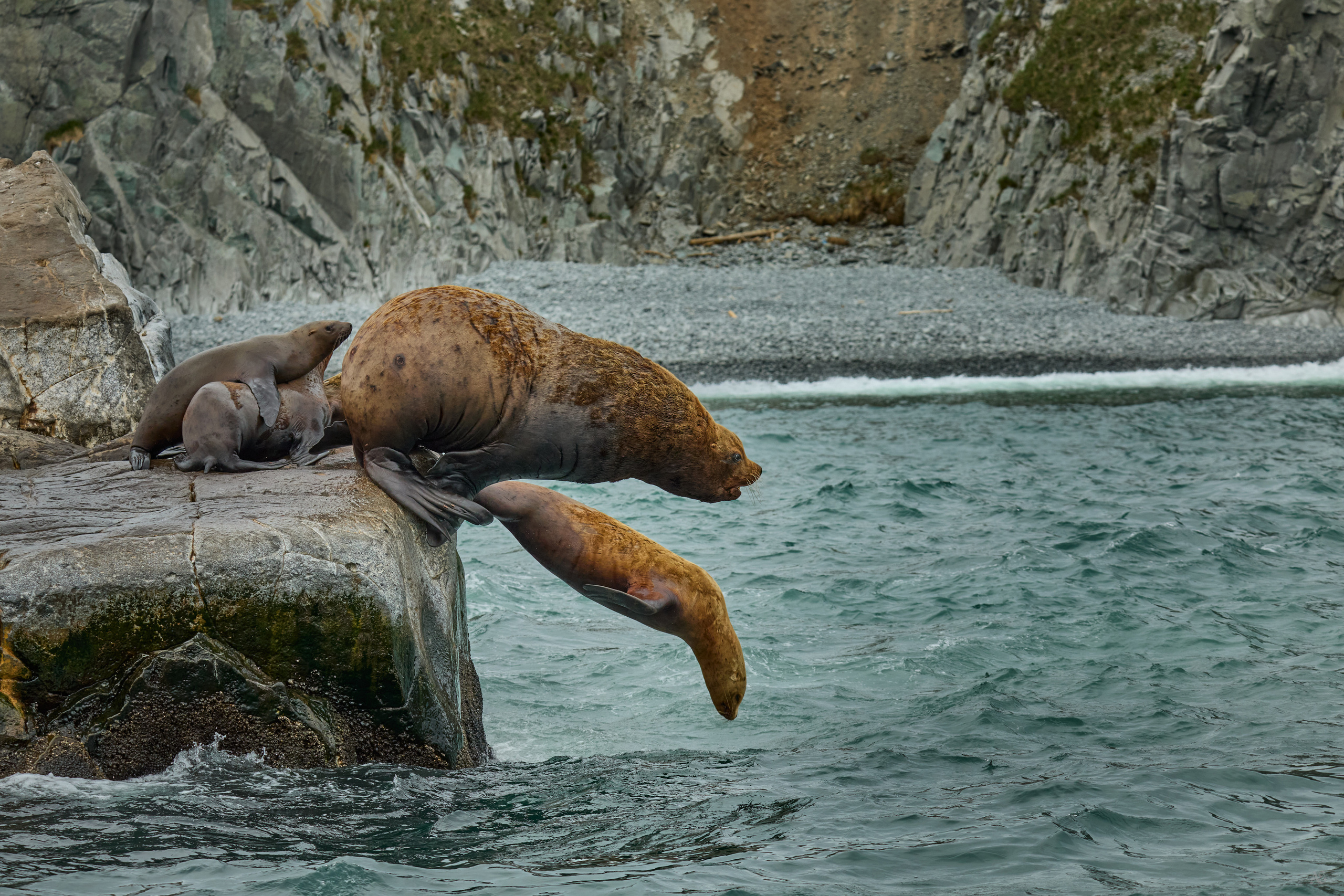 Камчатка. Alexander Ermolenko