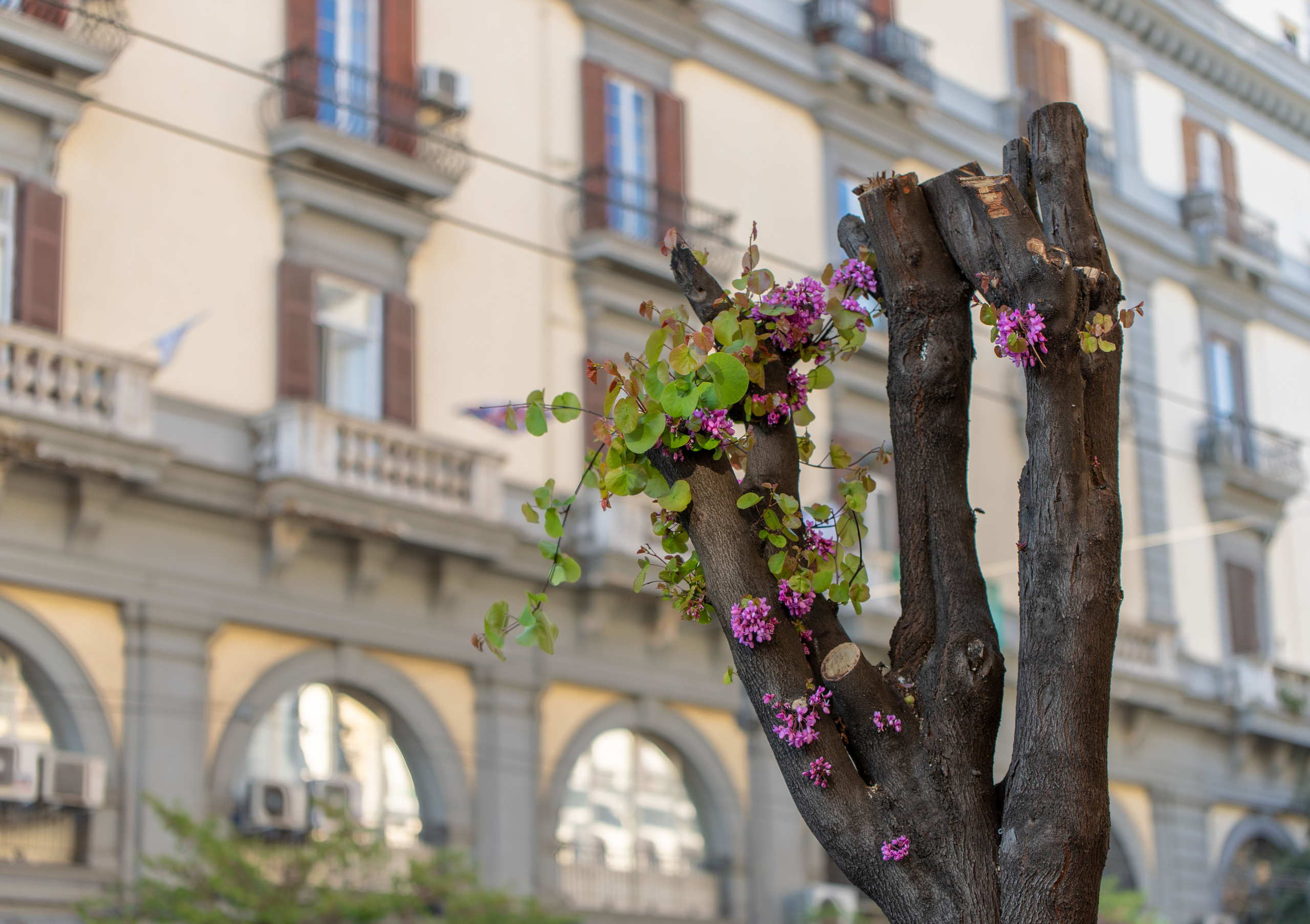 Италия. Alexander Ermolenko