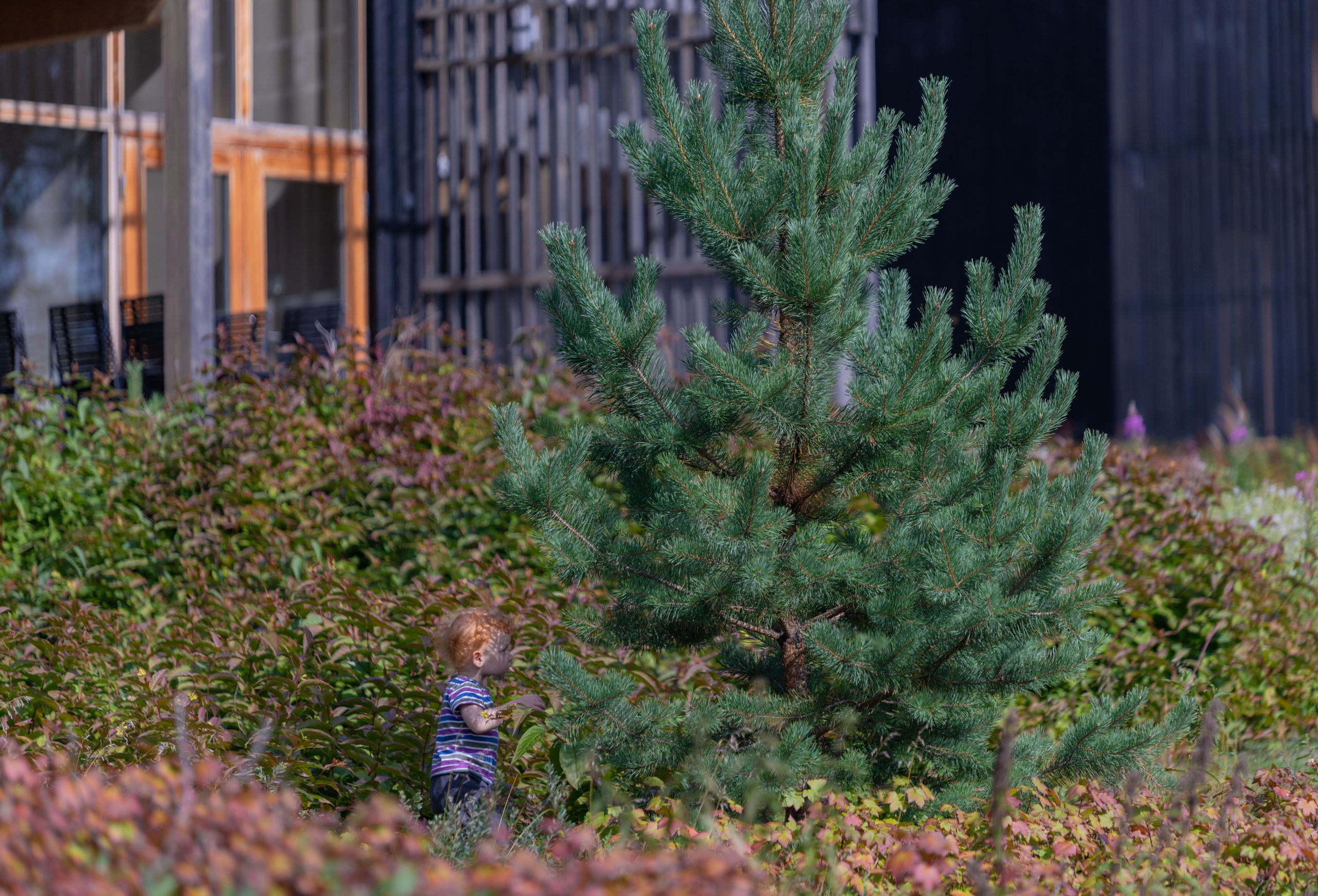 Финляндия. Alexander Ermolenko