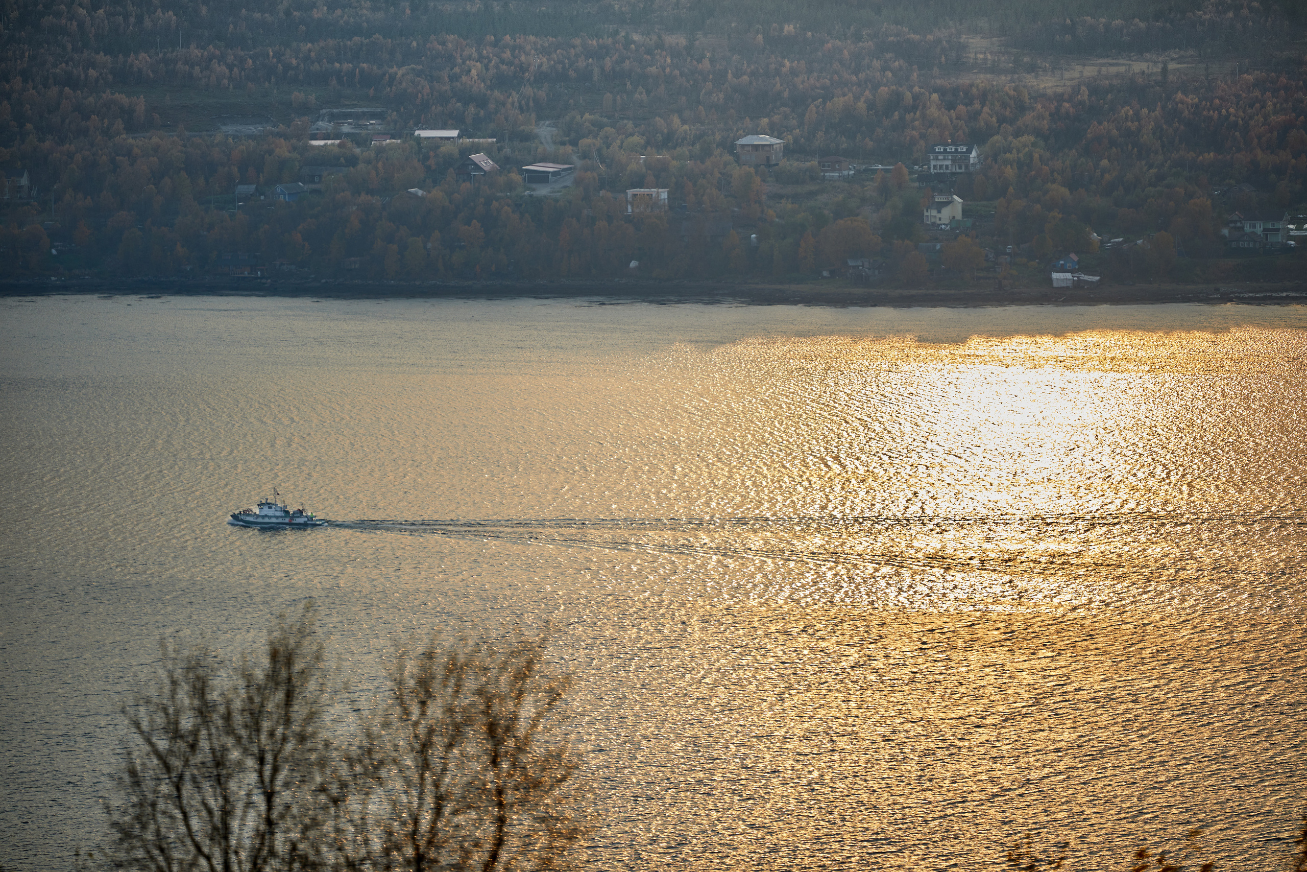 Разное. Alexander Ermolenko