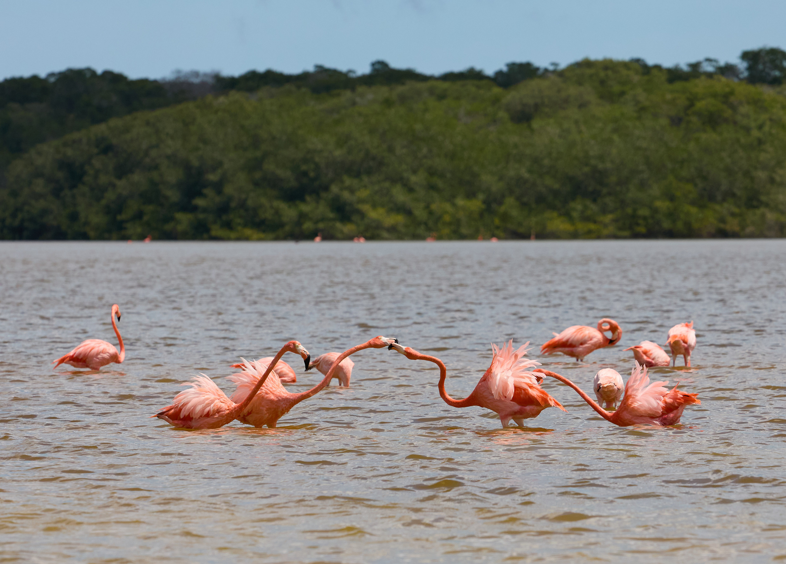 Мексика. Alexander Ermolenko