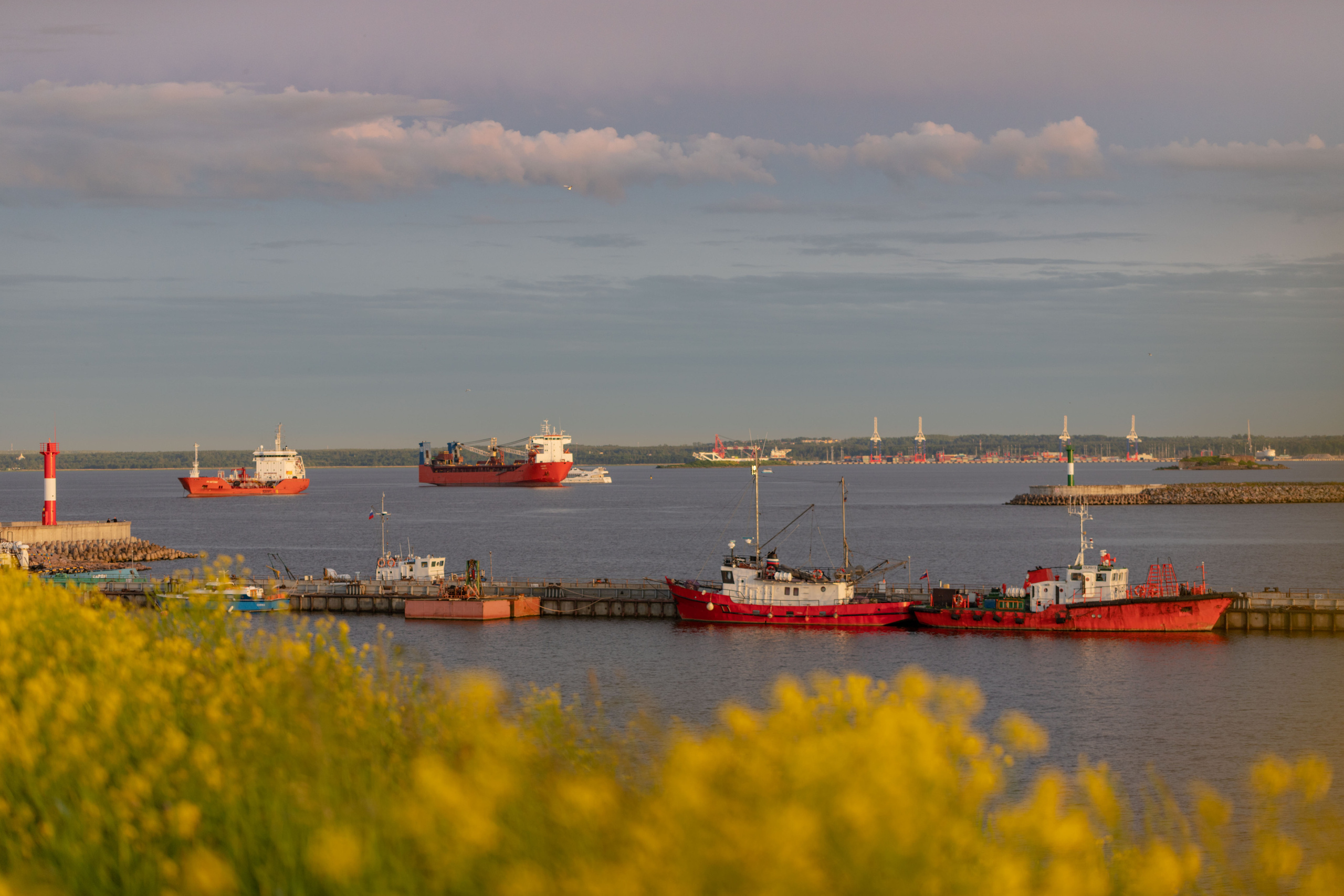 Пароходы. Alexander Ermolenko