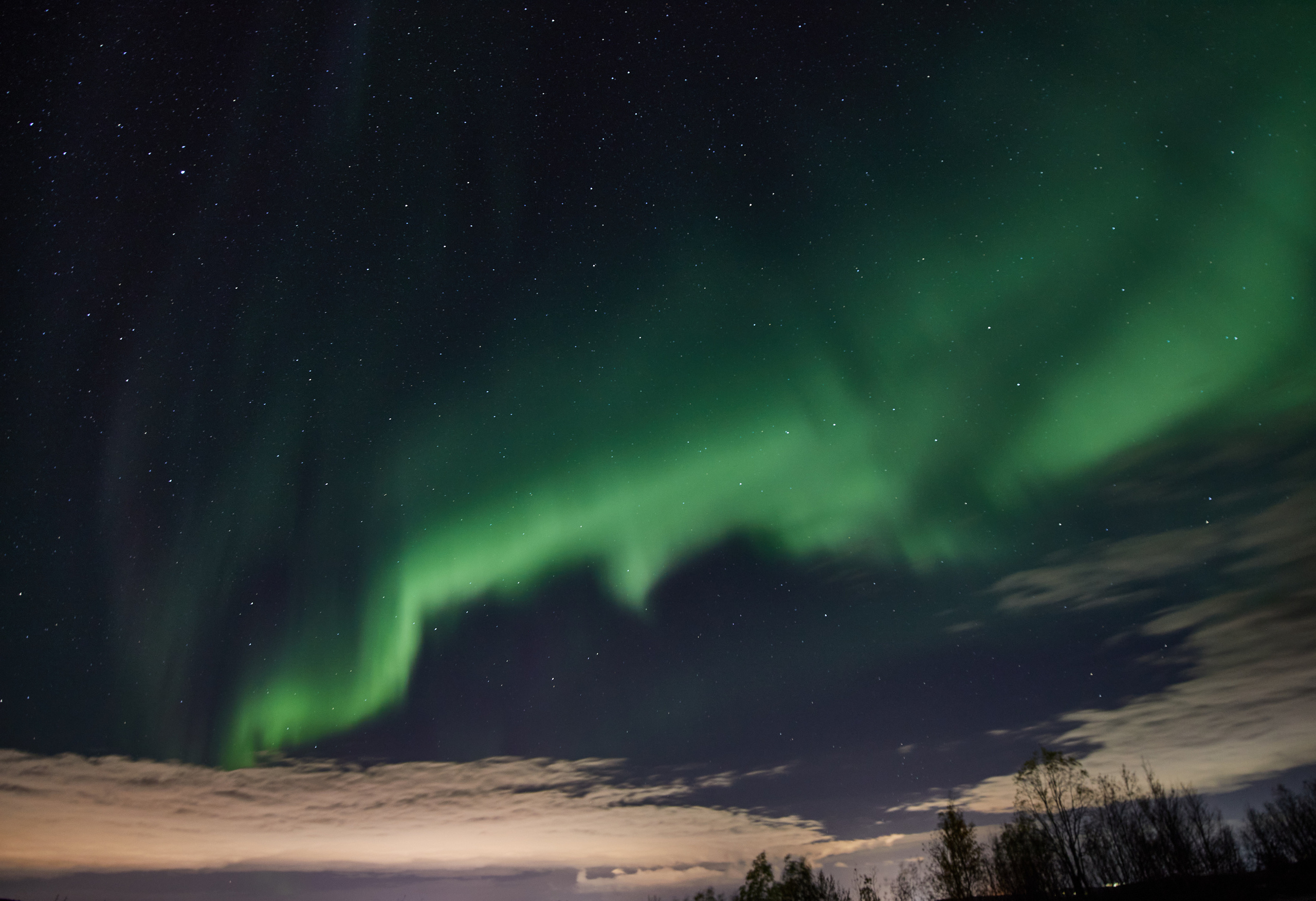 Разное. Alexander Ermolenko