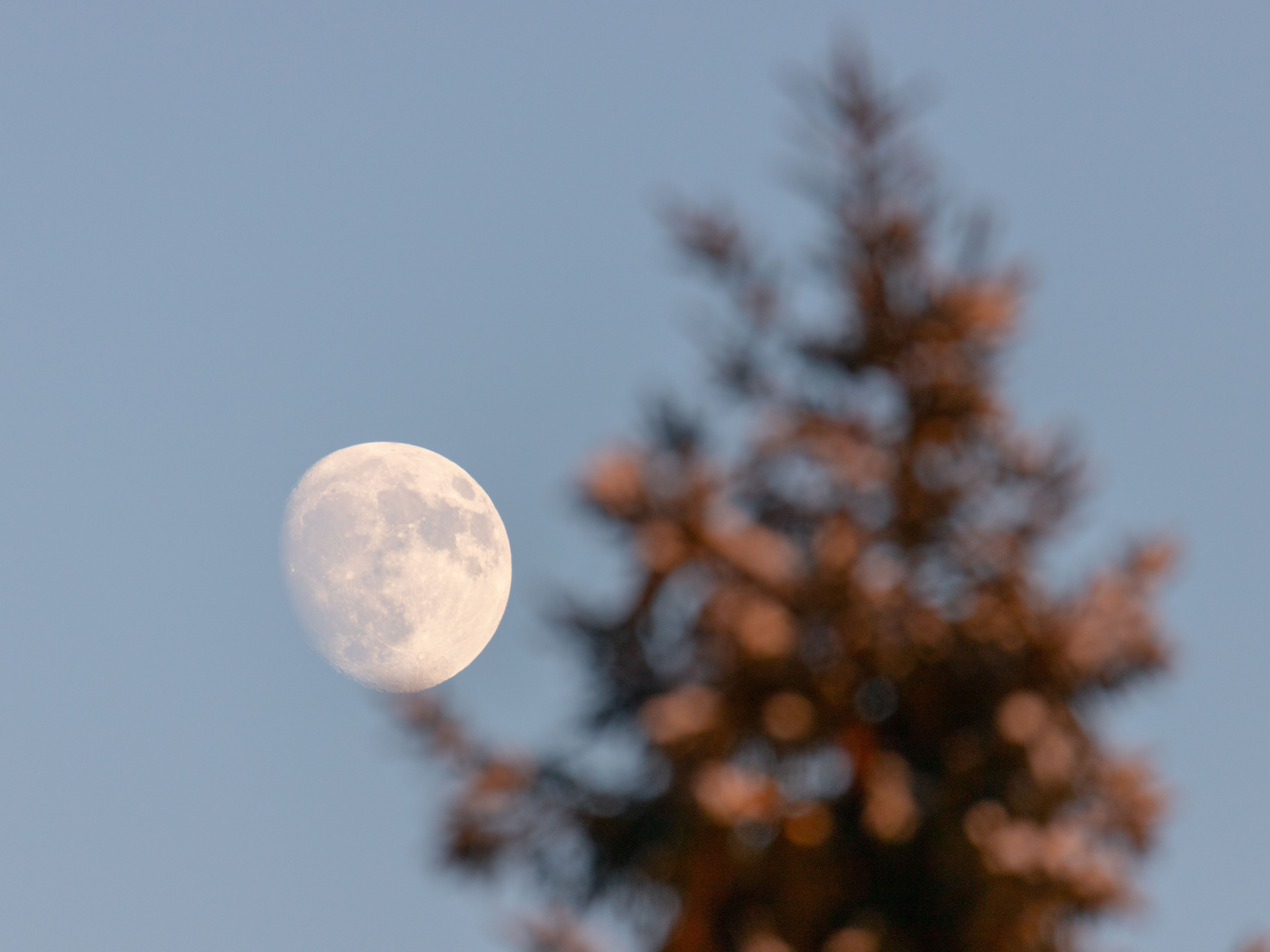 Разное. Alexander Ermolenko