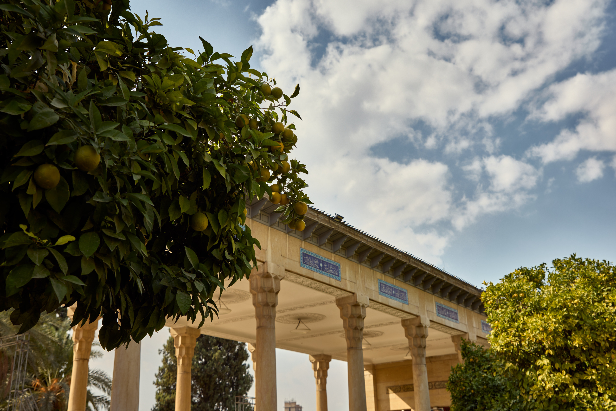 Иран. Alexander Ermolenko